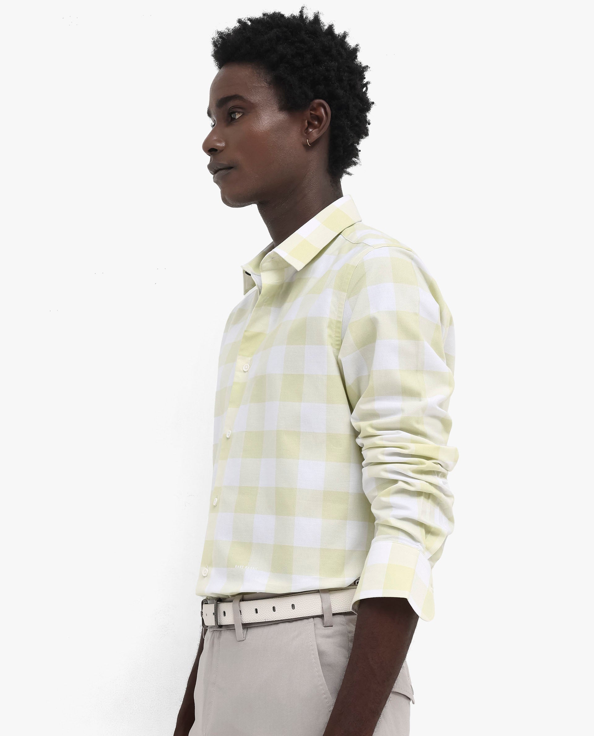 Rare Rabbit Men's Tinker Light Green Cotton Fabric Full Sleeve Regular Fit Gingham Checks Shirt