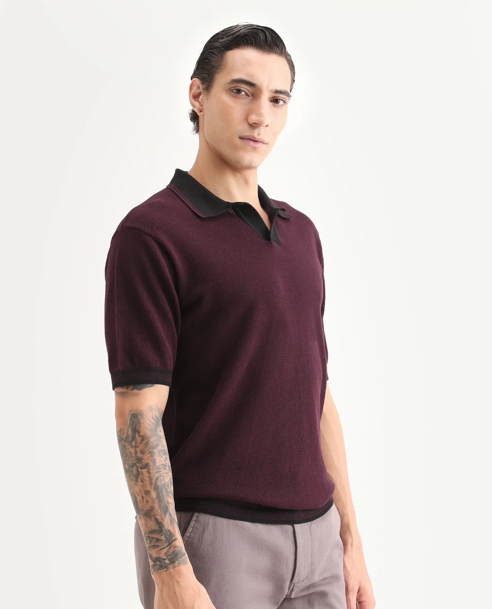 Rare Rabbit Men's Tipo Pastel Maroon Cotton Fabric Half Sleeve Regular Fit Textured Polo