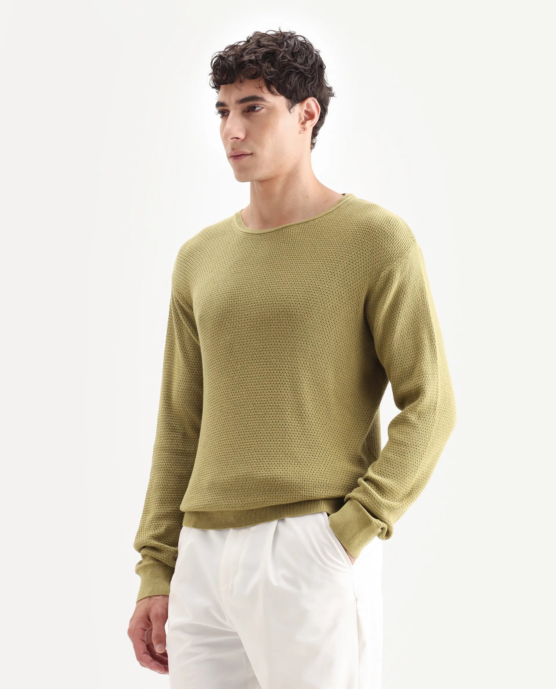 Rare Rabbit Men's Torino Green Cotton Plain Regular Fit Full Sleeve Crew Neck Sweater