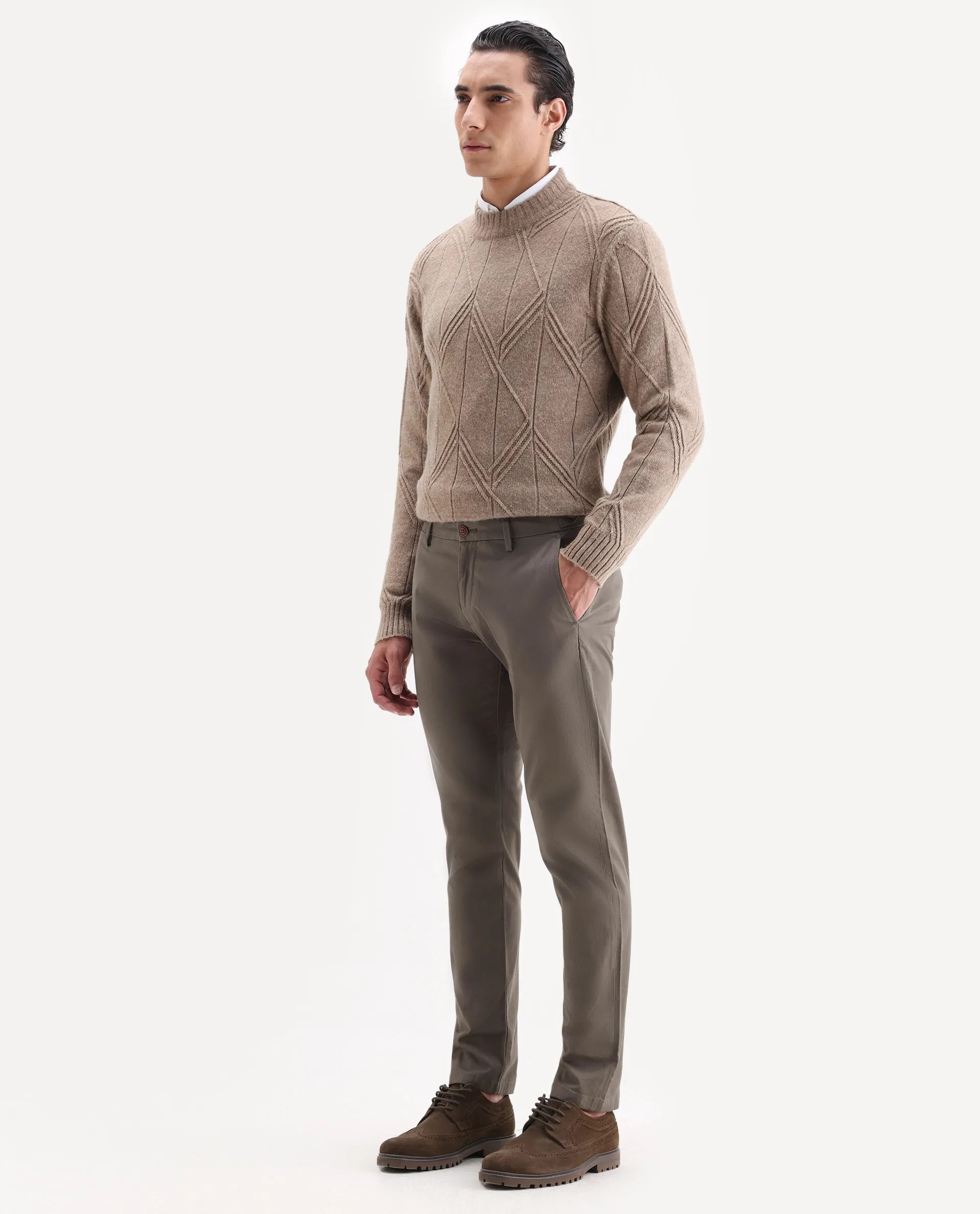 Rare Rabbit Men's Trans Khaki Cotton Plain Regular Fit Trouser