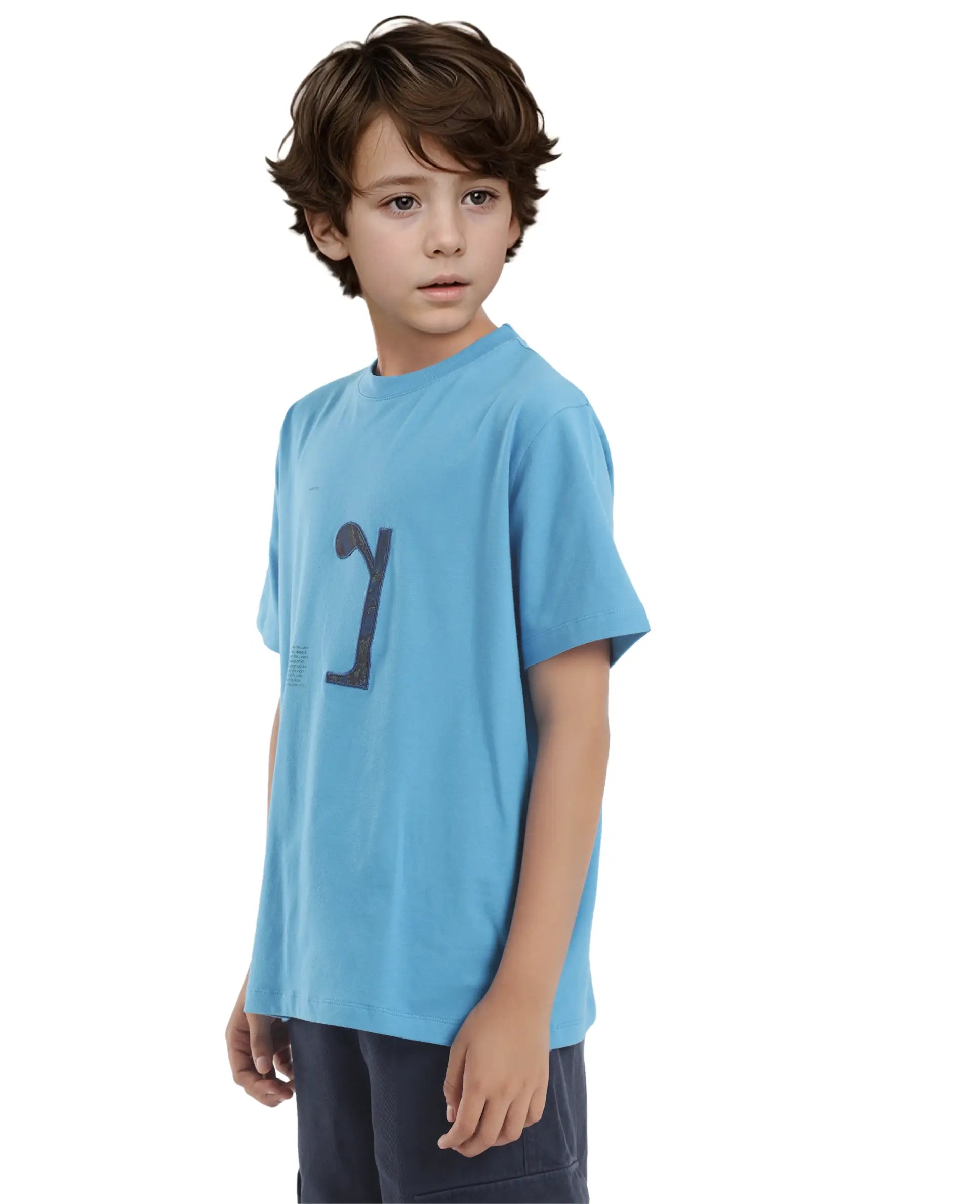 Rare Ones Kids Vel Blue Cotton Half Sleeves Crew Neck Embroidered Print T-Shirt