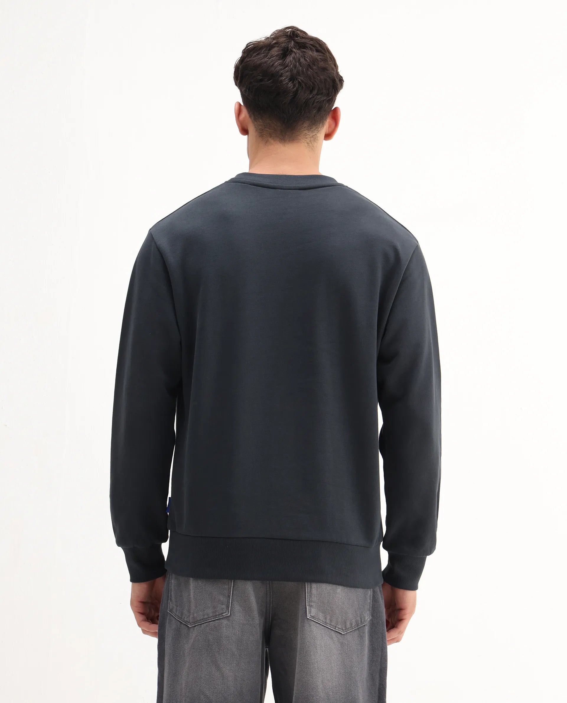 Rare Rabbit Men's Wolf Dark Grey Cotton Embroidered Regular Fit Full Sleeve Crew Neck Sweatshirt