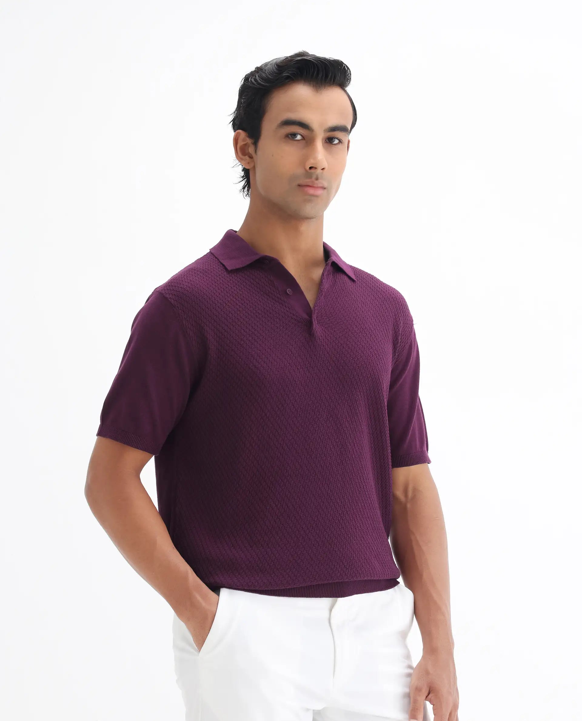 Rare Rabbit Men's Xas Dark Purple Cotton Textured Regular Fit Half Sleeve Polo