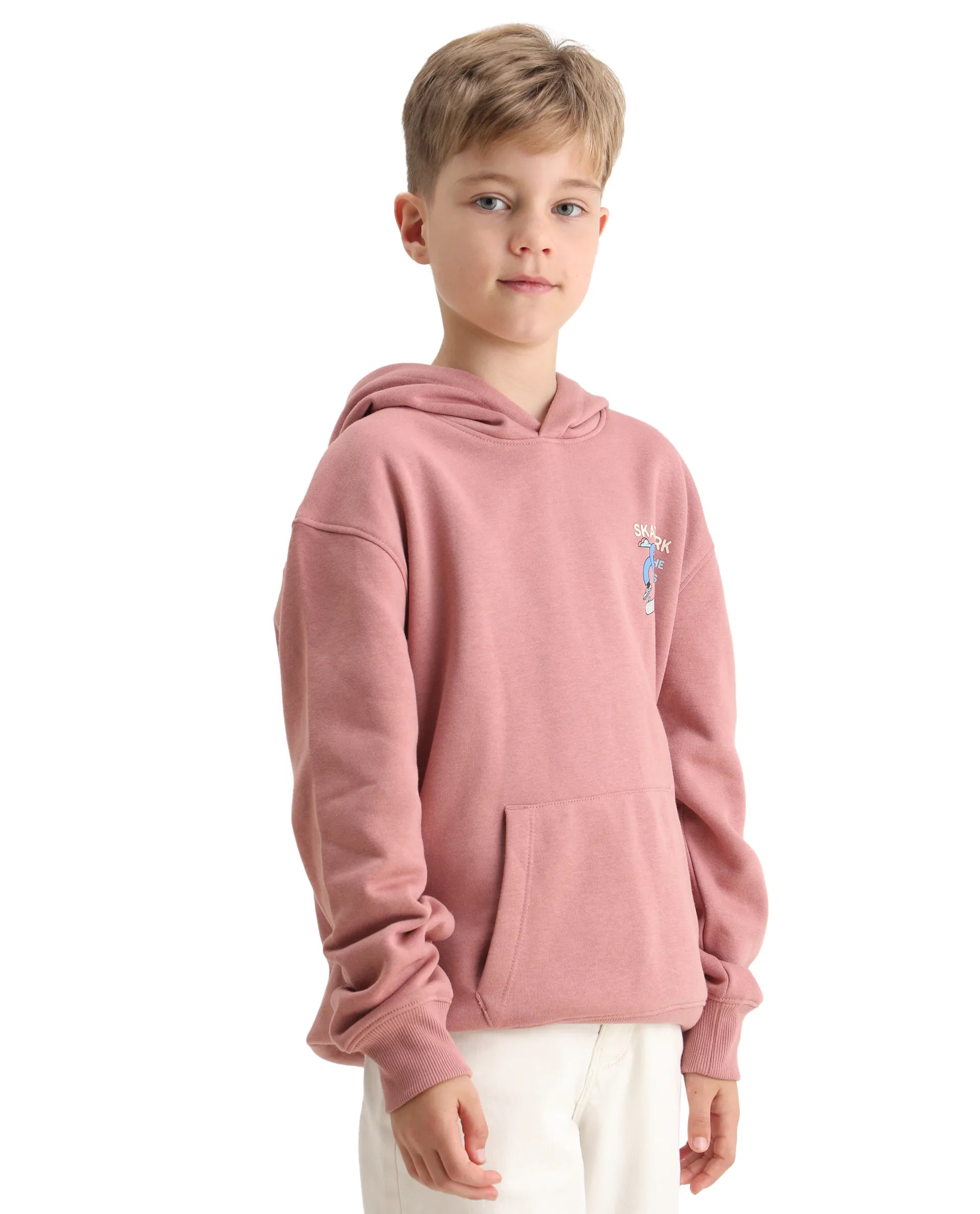 Rare Ones Kids Zaid Dusky Pink Cotton Blend Hd Print Oversized Sweatshirt