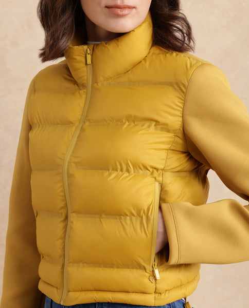 Rareism Women Zarcro Purple Full Sleeve Stand Collar Zipper Closure Plain Jacket main image 0