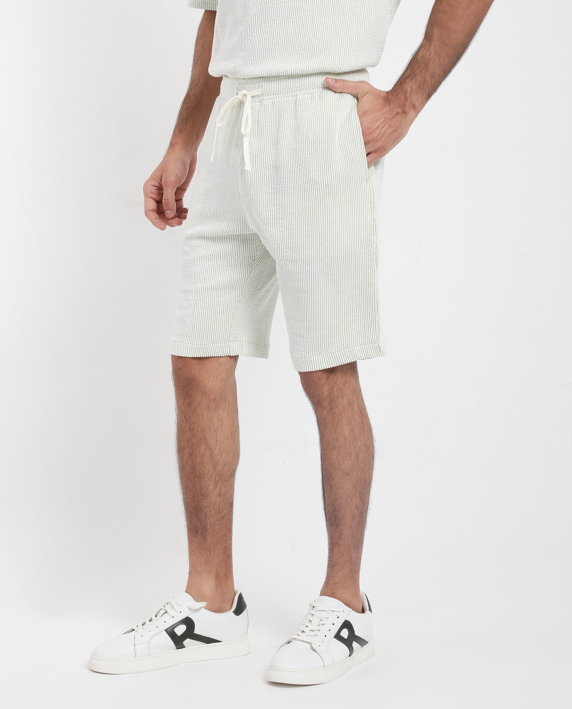 Rare Rabbit Men's Zavet-B Light Green Cotton Polyester Fabric Knee Length Regular Fit Self Stripe Textured Shorts