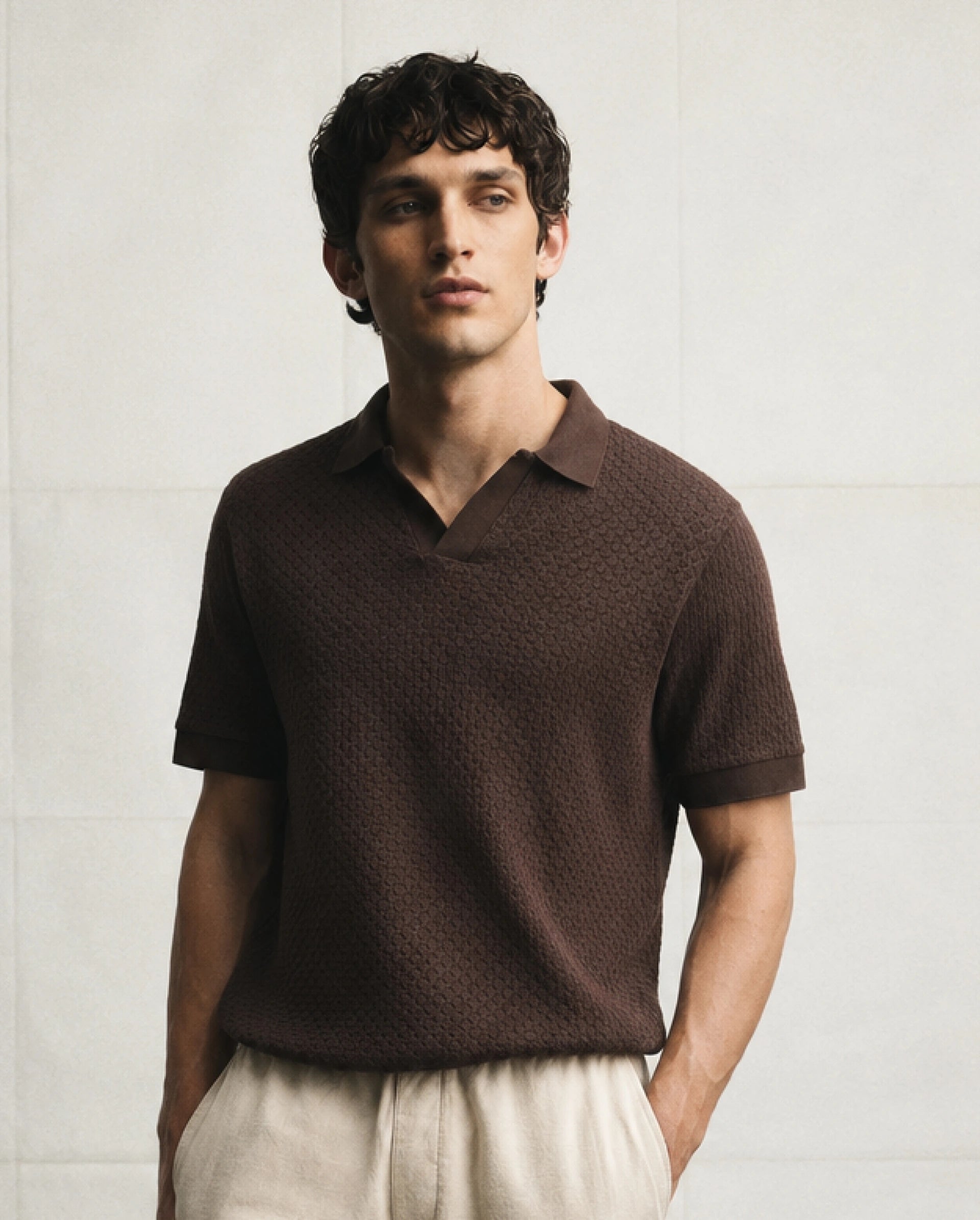 Rare Rabbit Men's Zegon Dark Brown Cotton Johnny Collar Regular Jacquard Polo