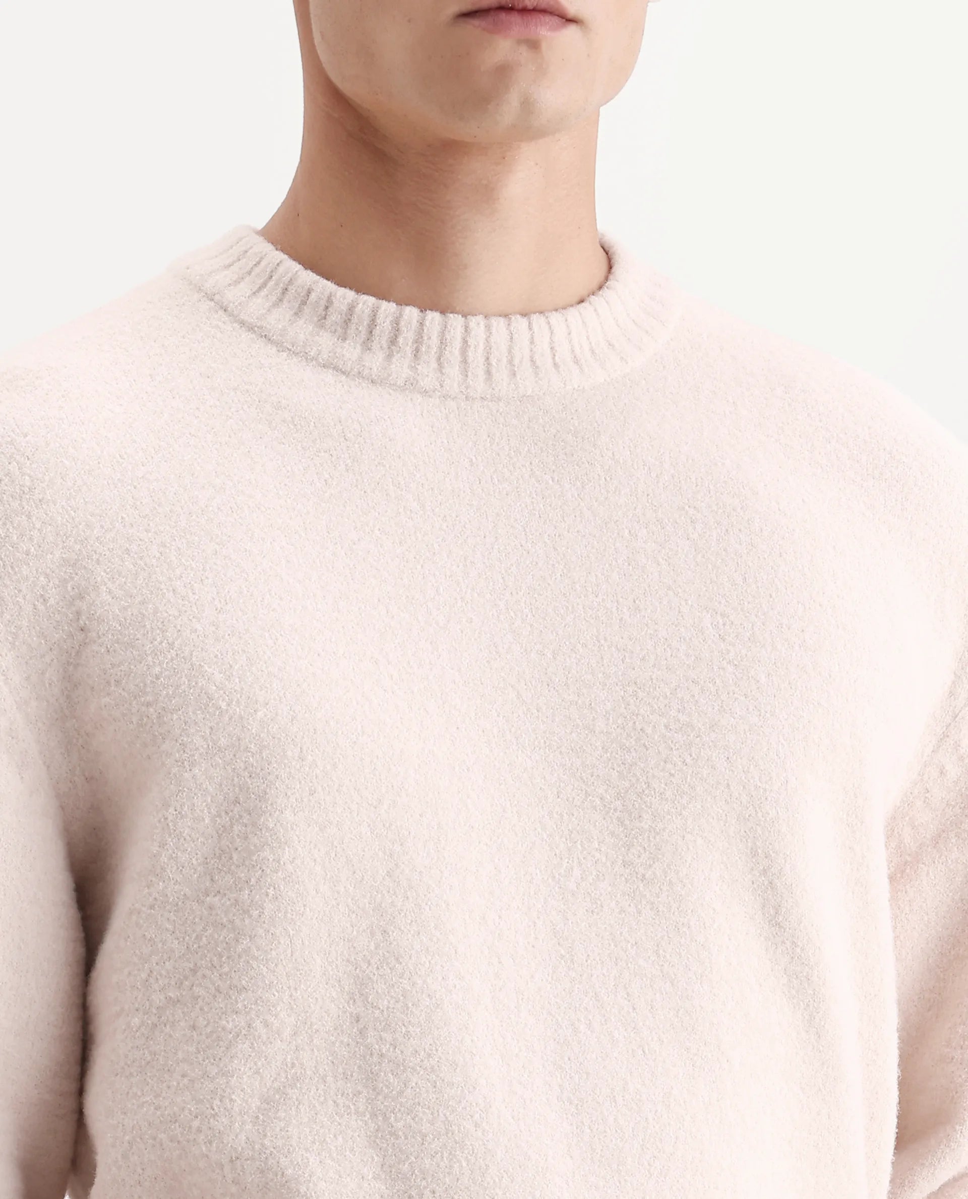 Rare Rabbit Men's Zeo-1 Beige Nylon Plain Regular Fit Full Sleeve Crew Neck Sweater