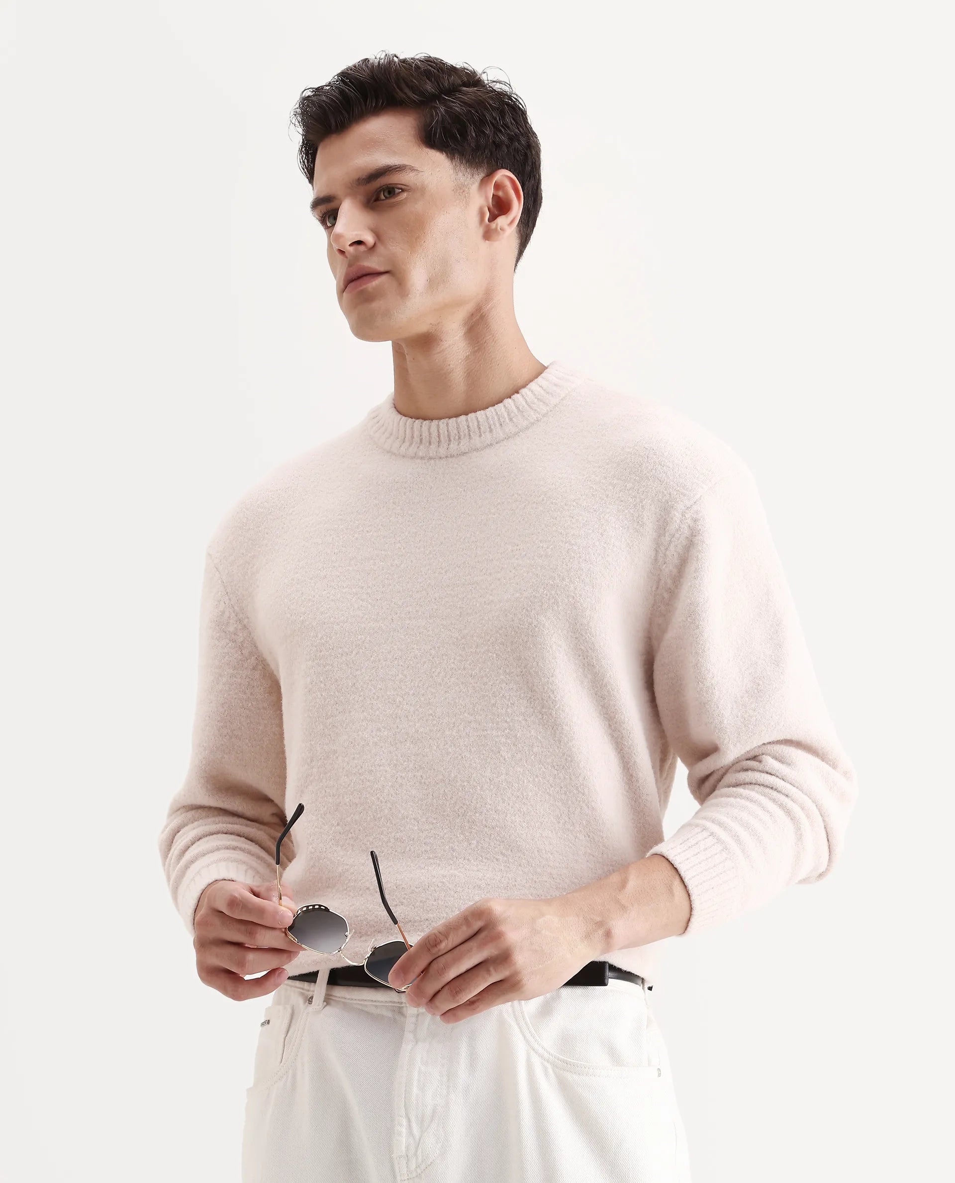 Rare Rabbit Men's Zeo-1 Beige Nylon Plain Regular Fit Full Sleeve Crew Neck Sweater