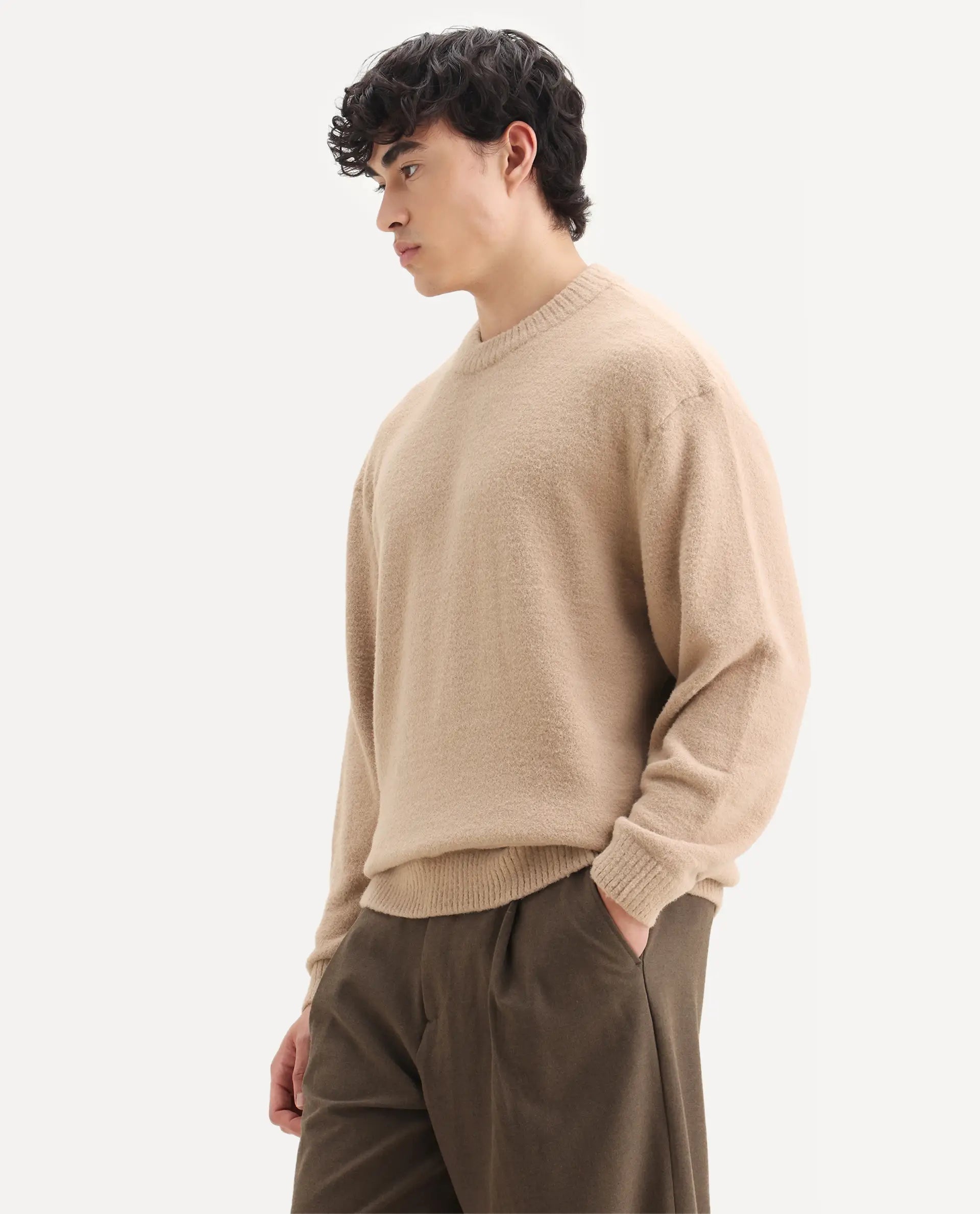 Rare Rabbit Men's Zeo-1 Dark Beige Nylon Plain Regular Fit Full Sleeve Crew Neck Sweater