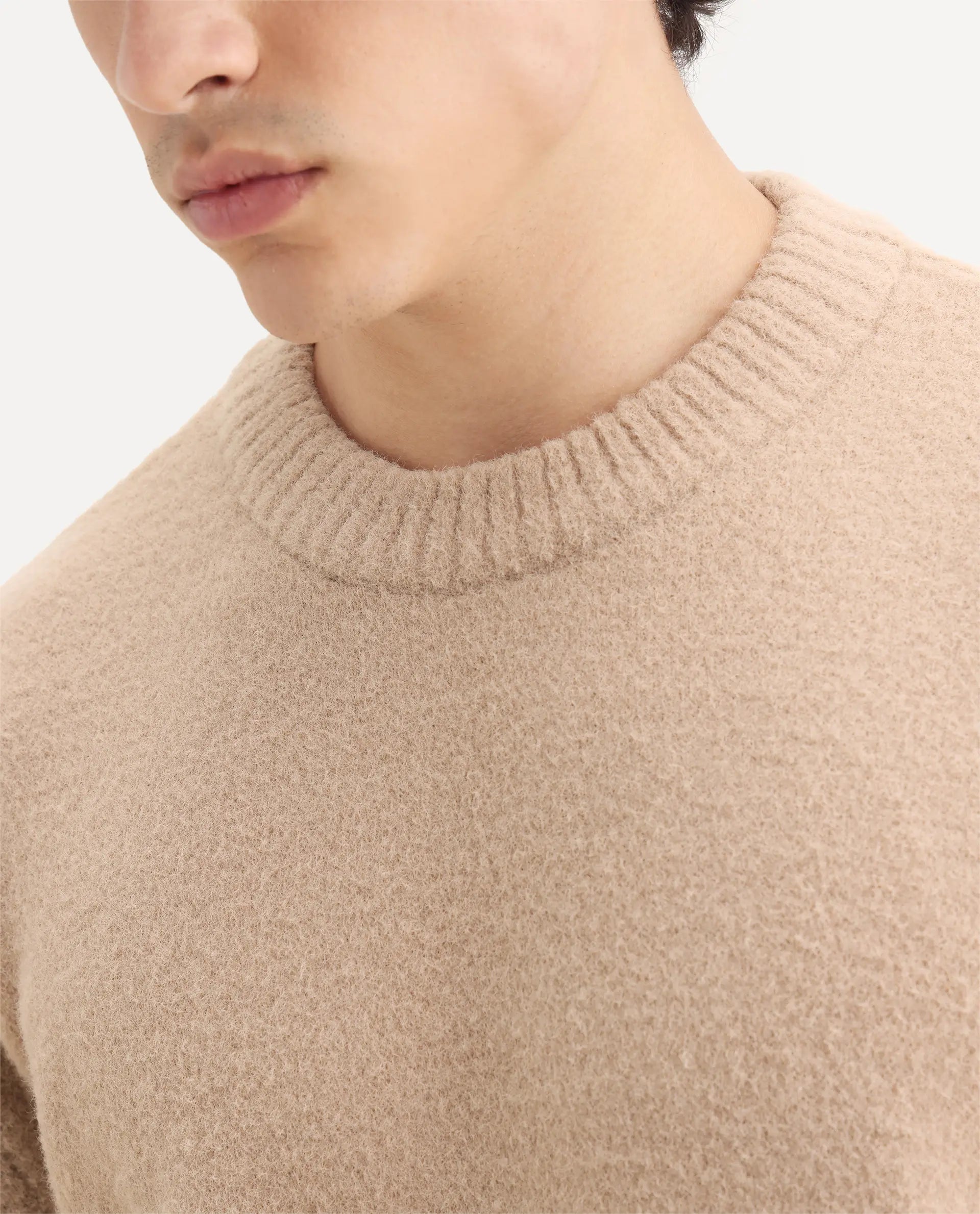 Rare Rabbit Men's Zeo-1 Dark Beige Nylon Plain Regular Fit Full Sleeve Crew Neck Sweater