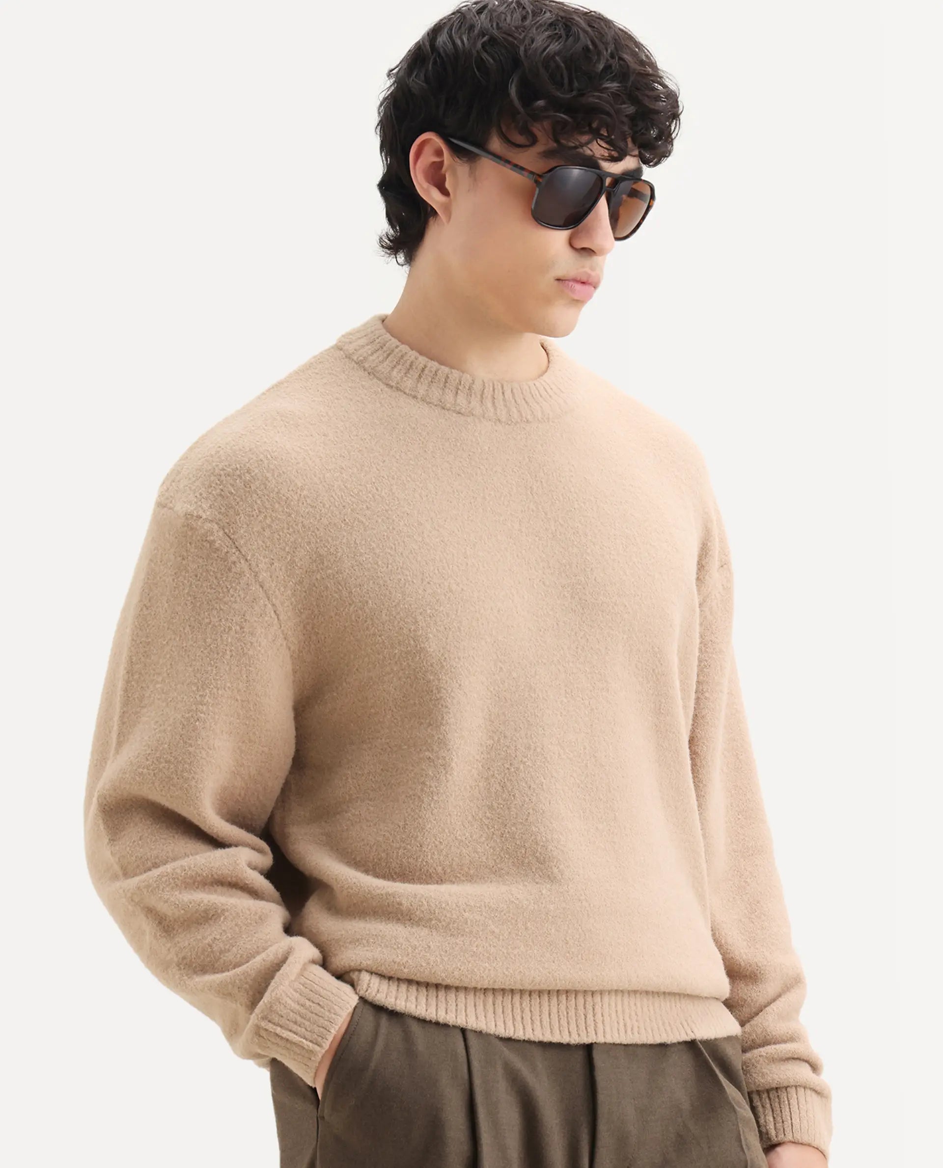 Rare Rabbit Men's Zeo-1 Dark Beige Nylon Plain Regular Fit Full Sleeve Crew Neck Sweater