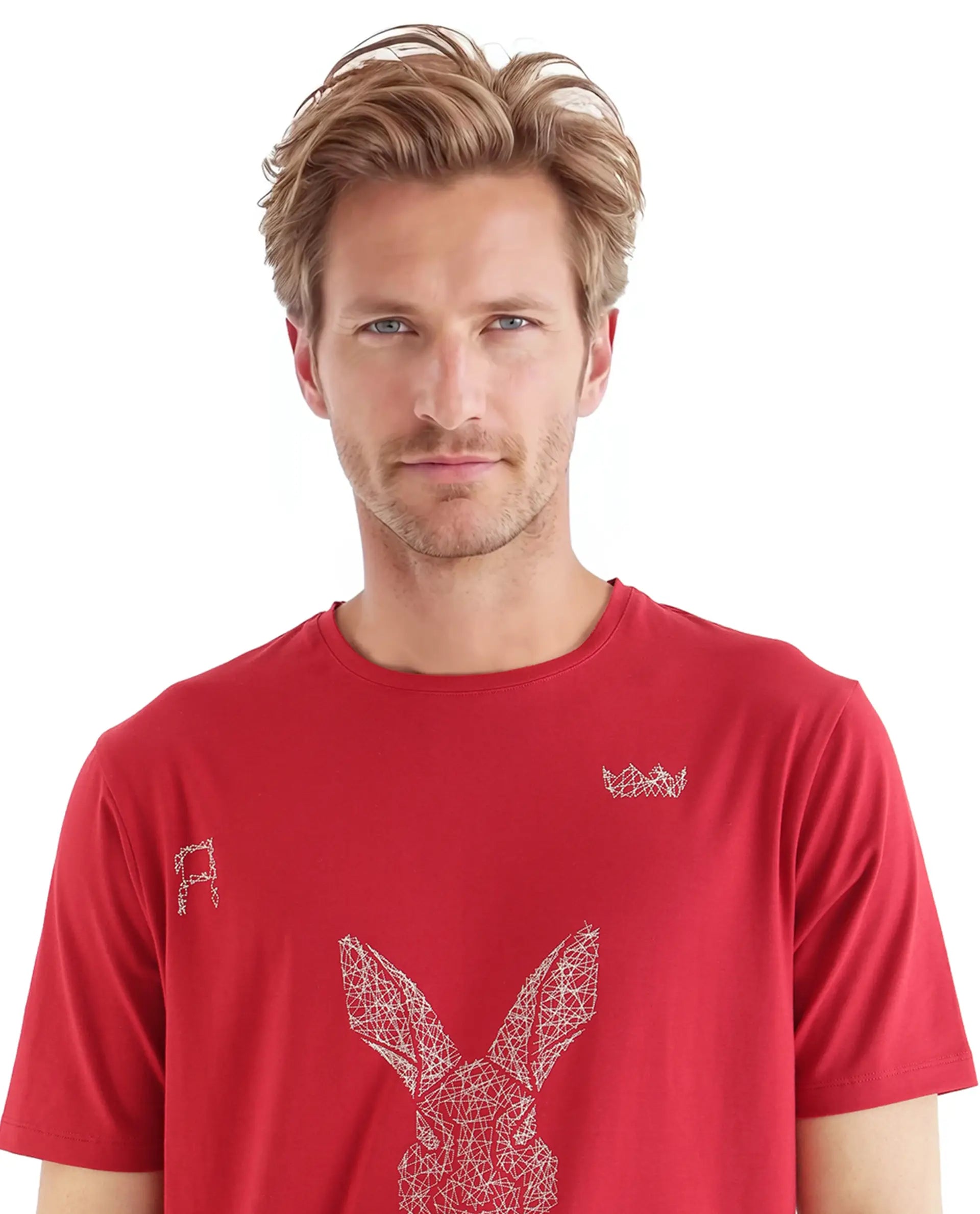 Rare Rabbit Men Zylo Red Cotton Blend Fabric Short Sleeve Crew Neck HD Print Logo T-Shirt