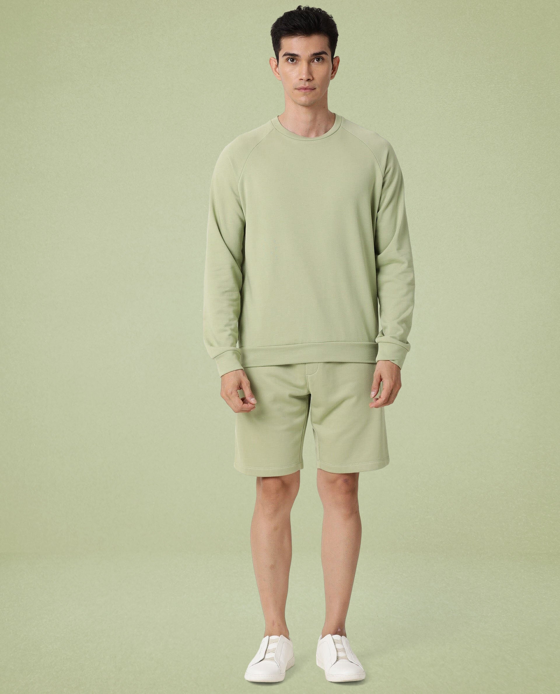 Rare Rabbit Articale Men's Arum Cardamom Green Cotton Fabric Full Sleeves Solid Sweatshirt
