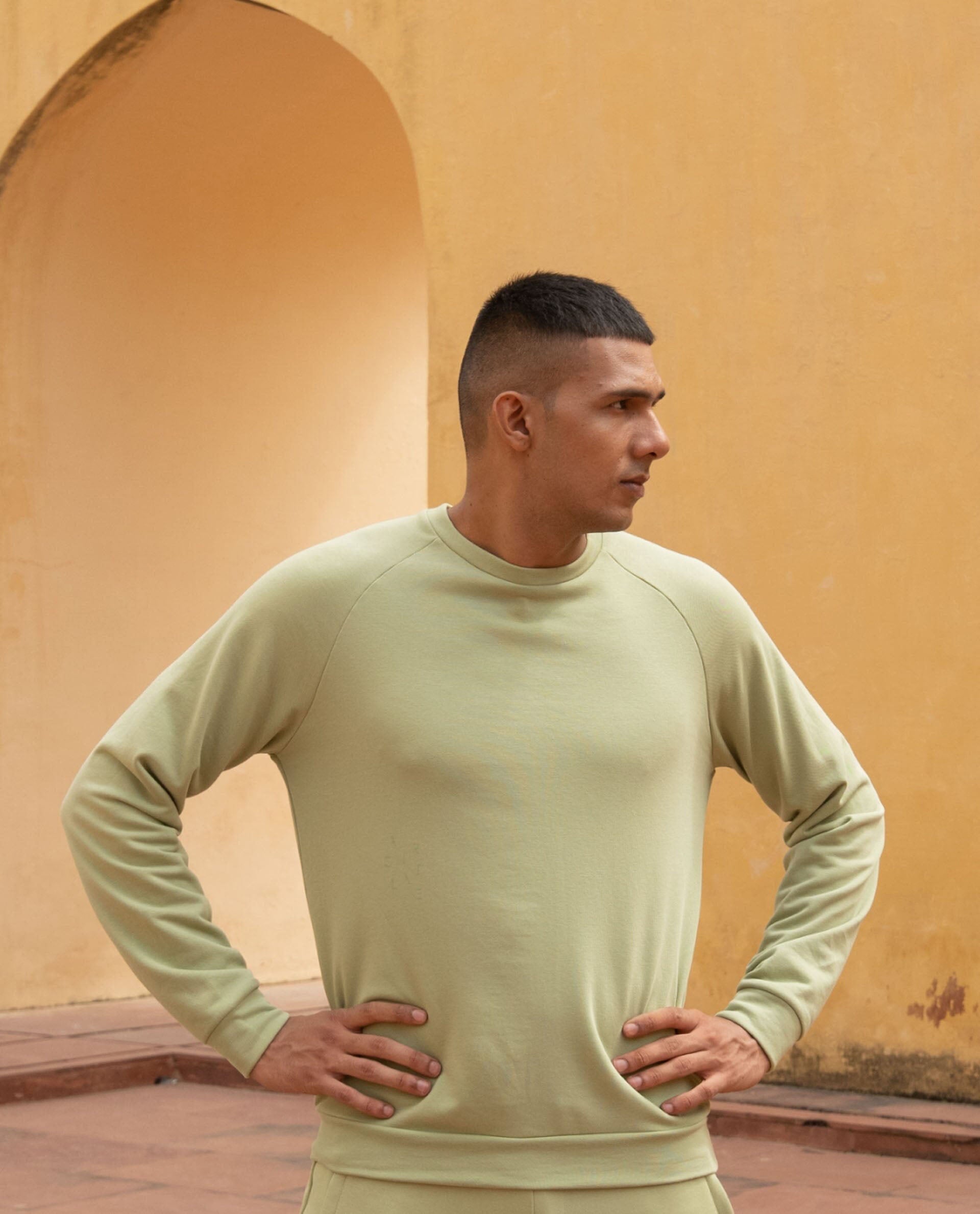 Rare Rabbit Articale Men's Arum Cardamom Green Cotton Fabric Full Sleeves Solid Sweatshirt