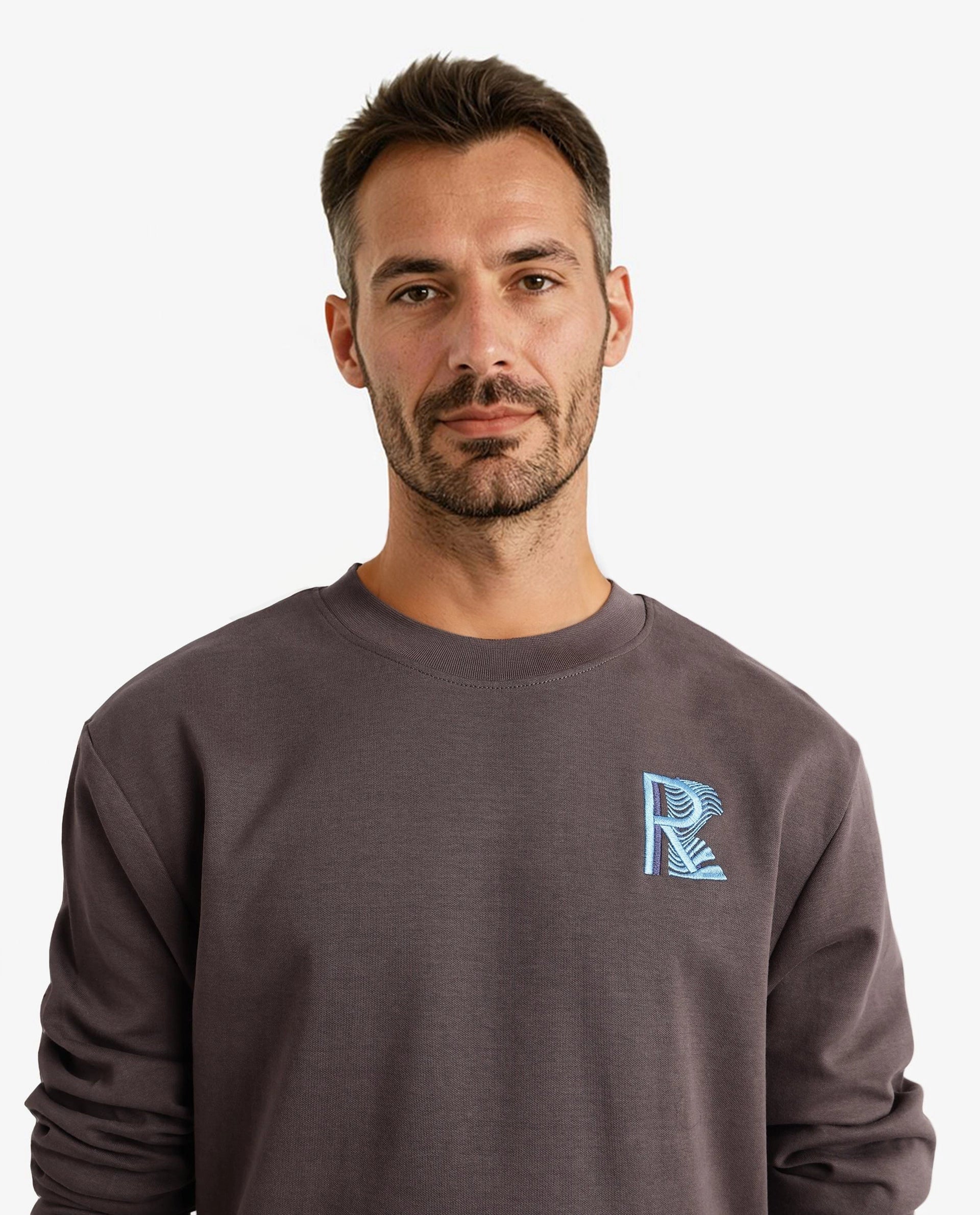 Rare Rabbit Men Bay Dark Grey Cotton Full Sleeve Crew Neck Embroidered Logo Sweatshirt