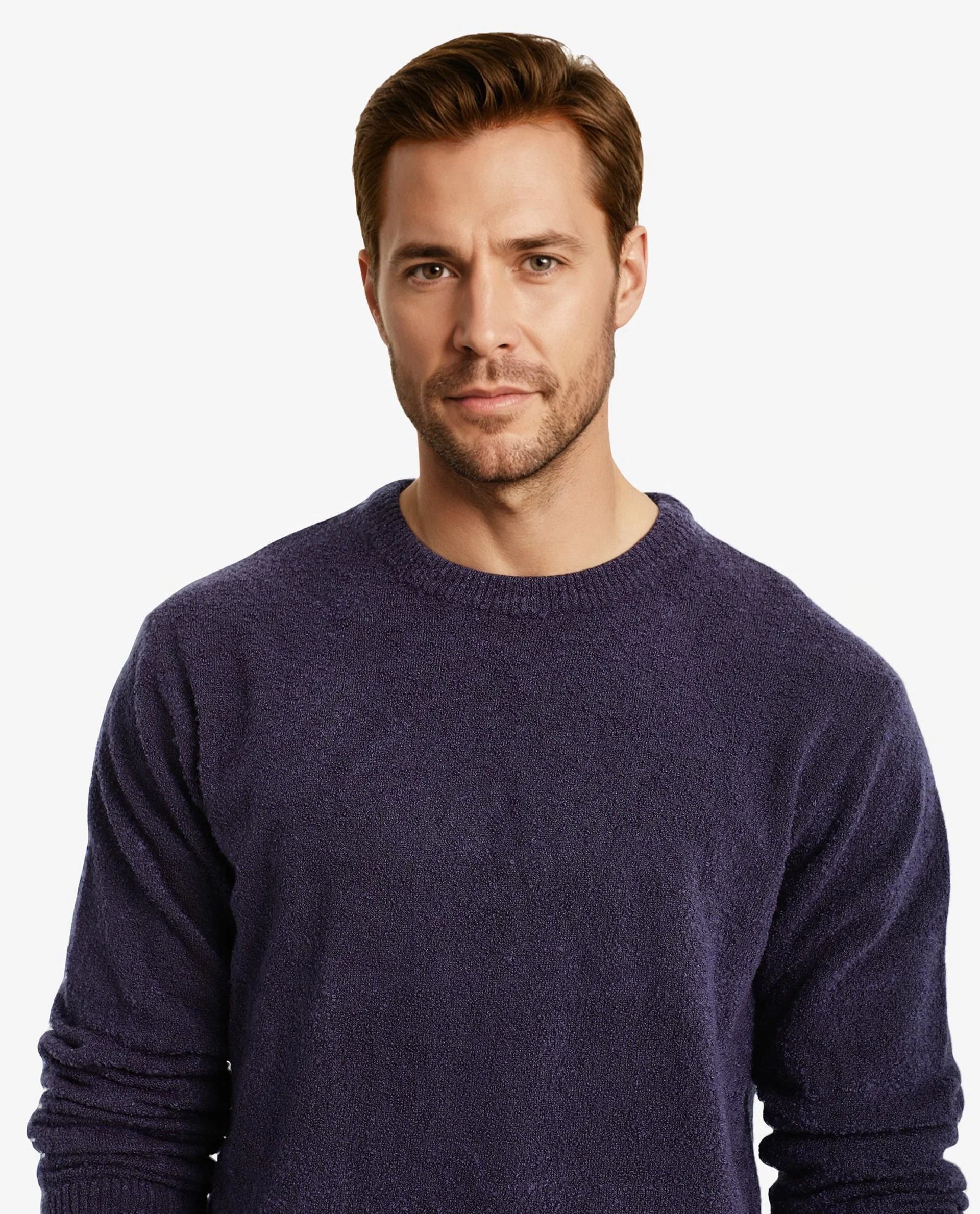 Rare Rabbit Men's Boule Purple Poly Acrylic Fabric Full Sleeve Crew Neck Plain Sweater