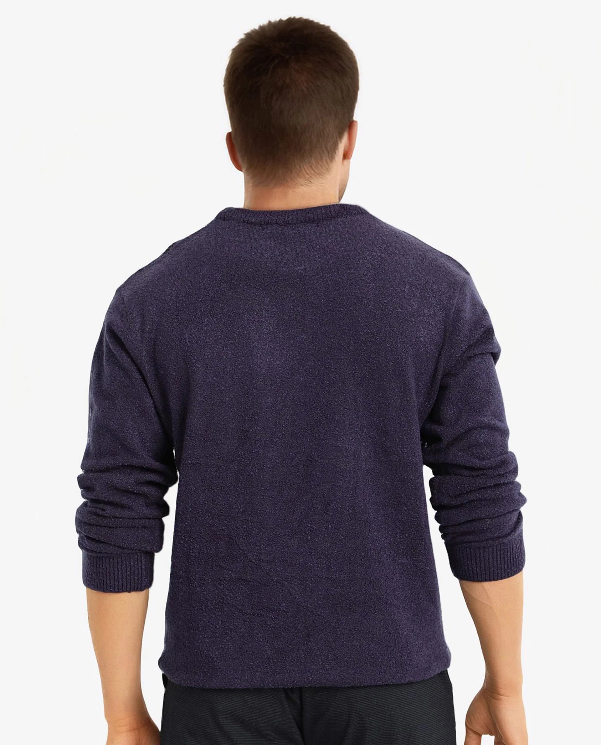 Rare Rabbit Men's Boule Purple Poly Acrylic Fabric Full Sleeve Crew Neck Plain Sweater