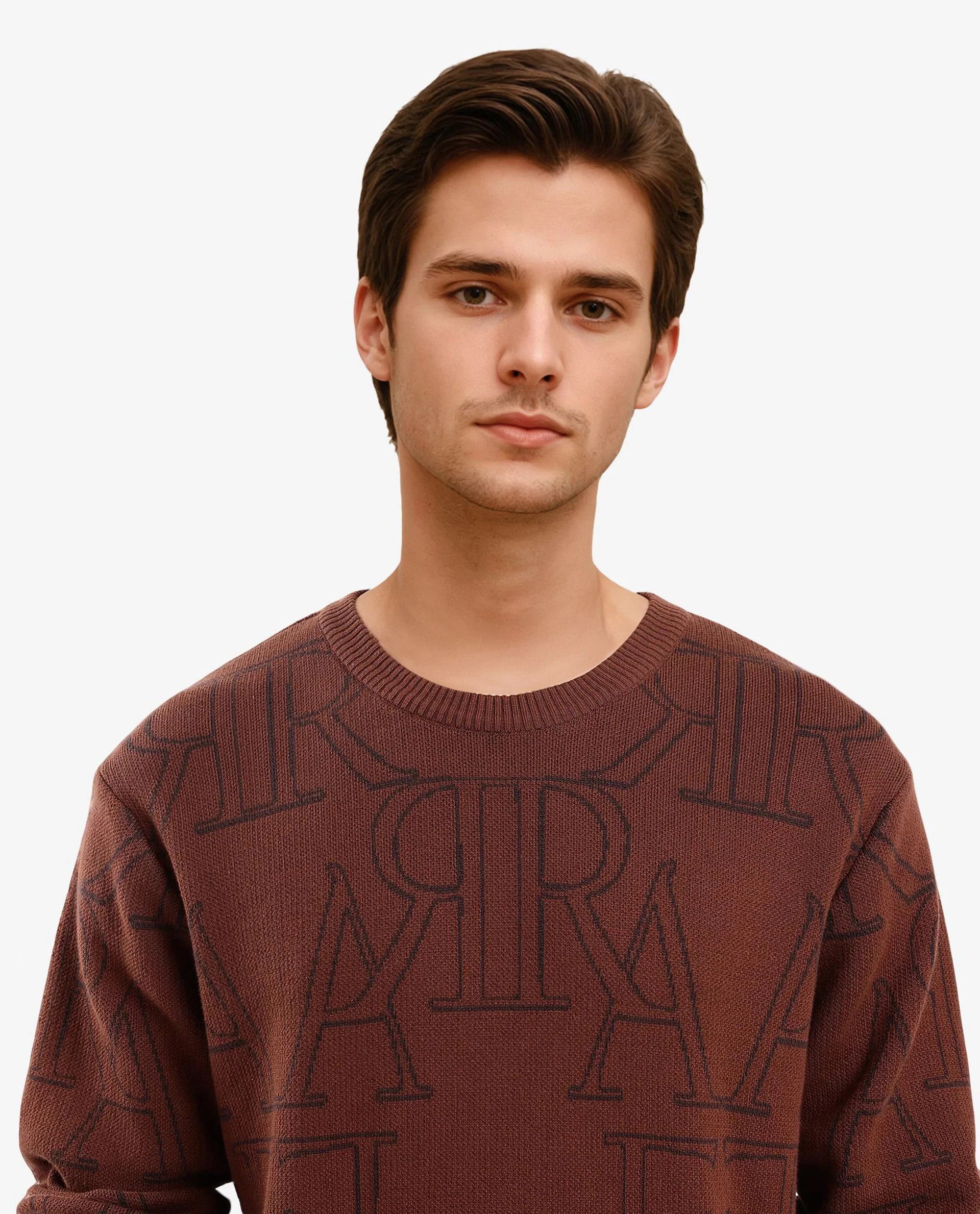 Rare Rabbit Men's Carrit Brown Cotton Fabric Full Sleeve Crew Neck Jacquard Sweater