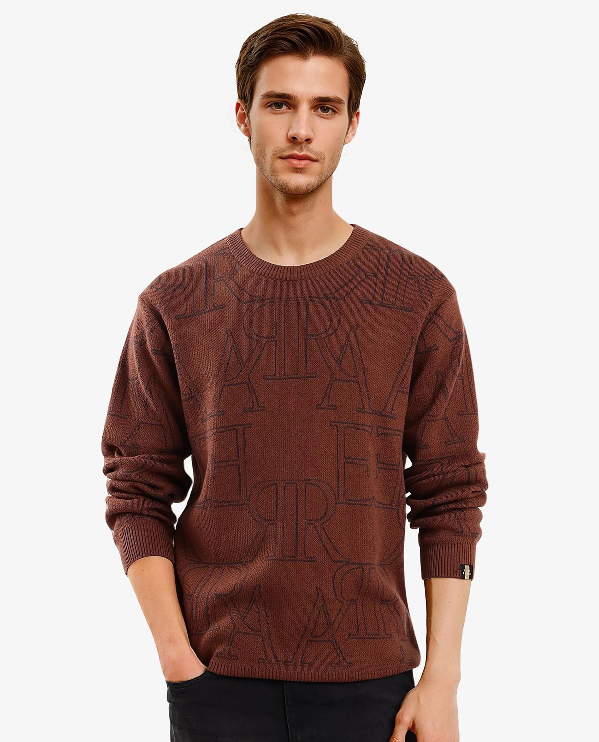 Rare Rabbit Men's Carrit Brown Cotton Fabric Full Sleeve Crew Neck Jacquard Sweater