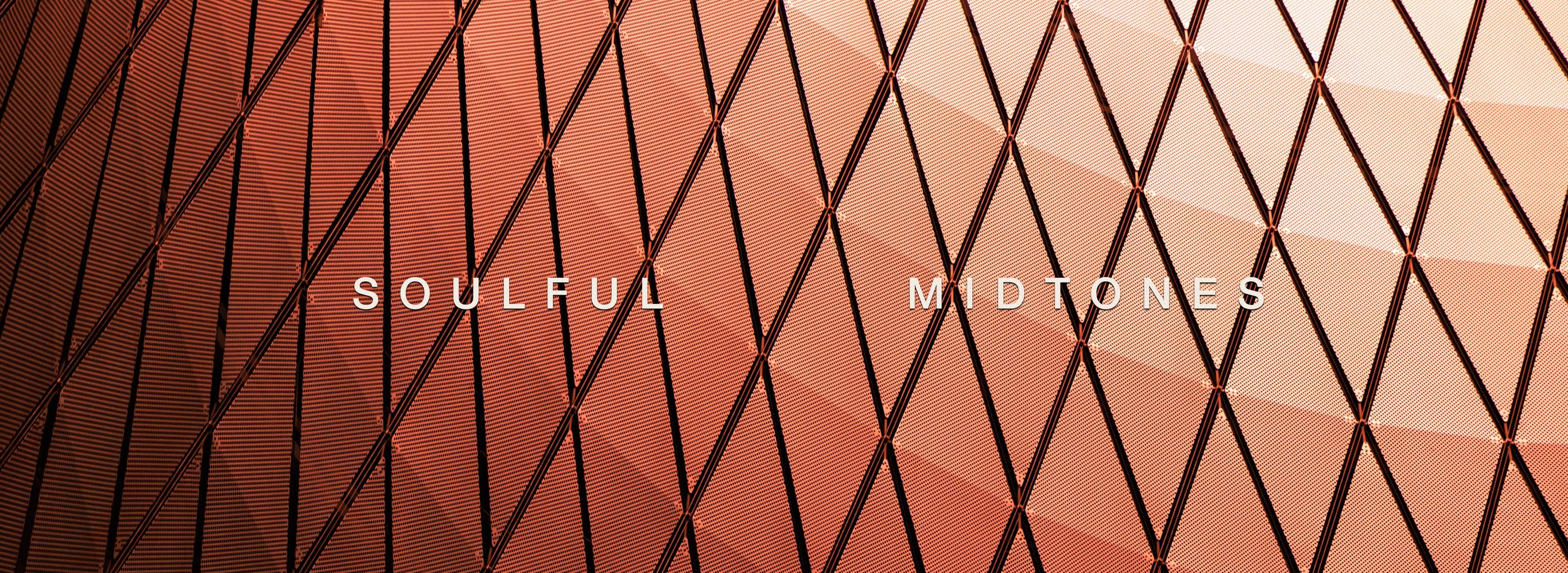 Soulful Midtones: Subtle Shades, Striking Appeal