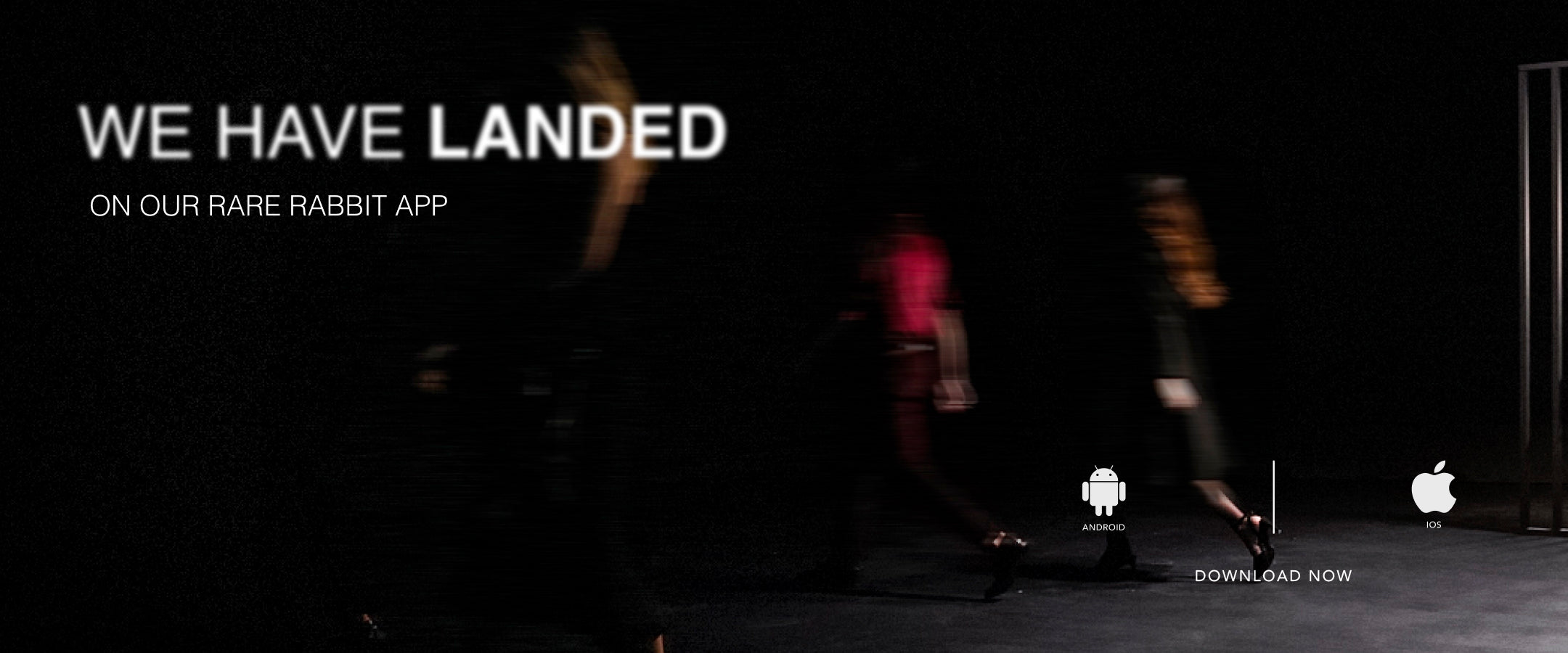 Rare Rabbit A Luxury Clothing Brand for Men