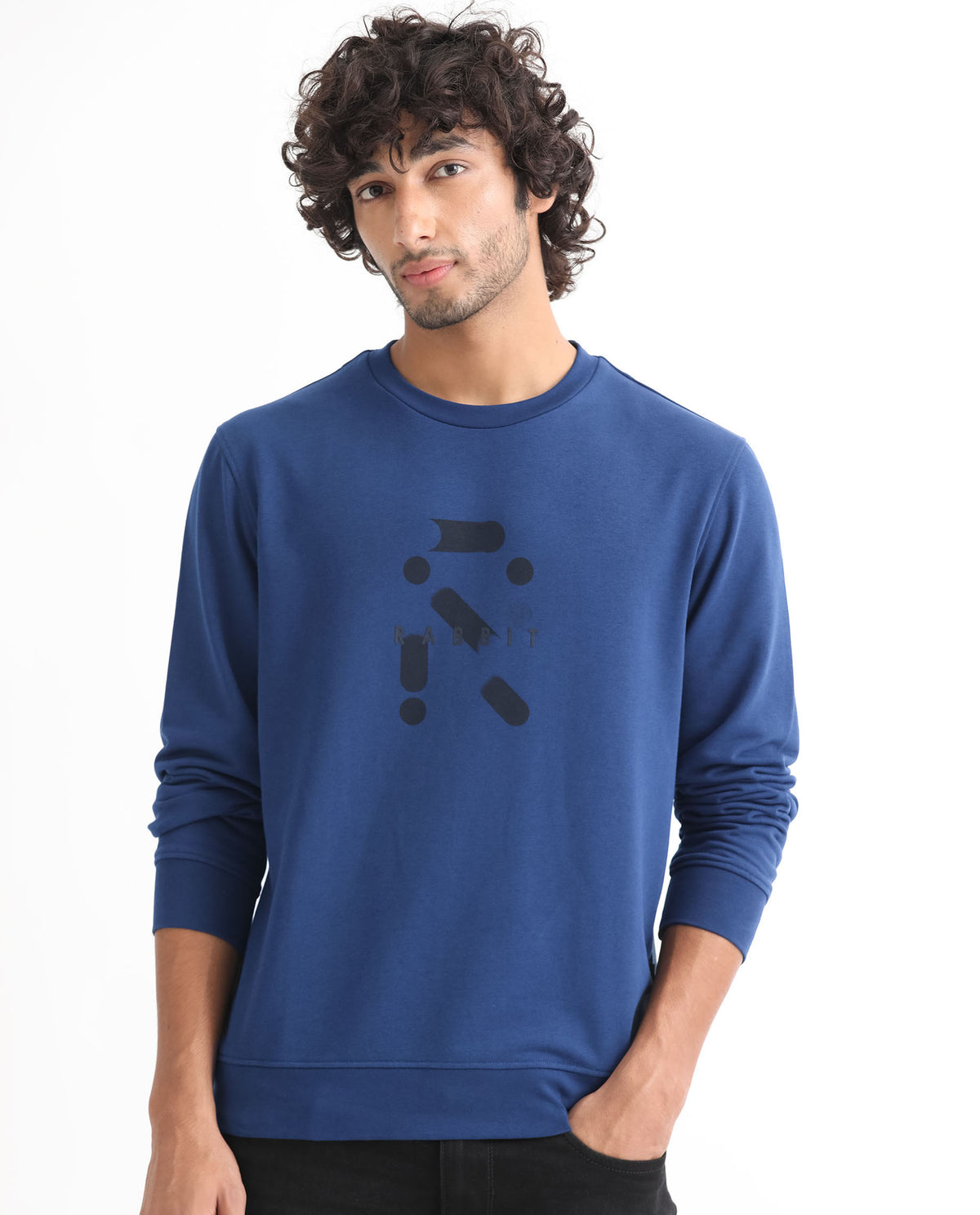 Rare Rabbit Men's Dunsto Blue Cotton Polyester Fabric Full Sleeves Graphic Print Knitted Sweatshirt