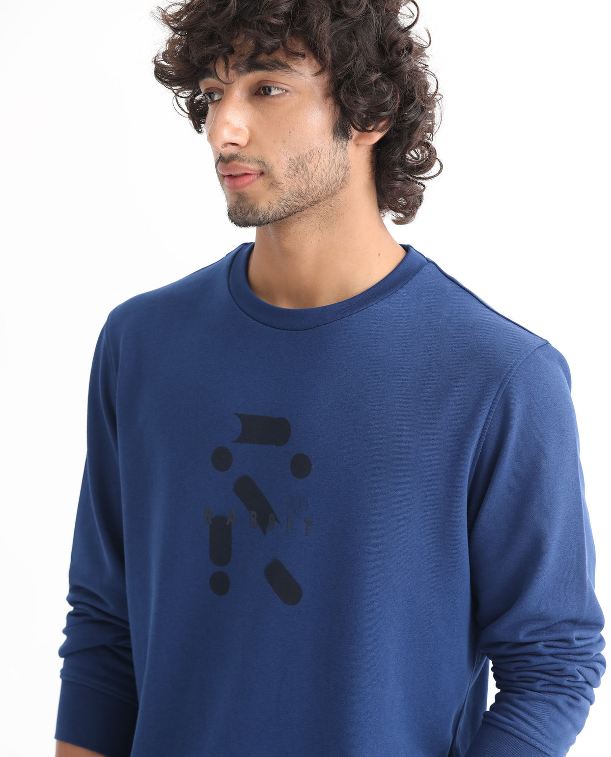 Rare Rabbit Men's Dunsto Blue Cotton Polyester Fabric Full Sleeves Graphic Print Knitted Sweatshirt