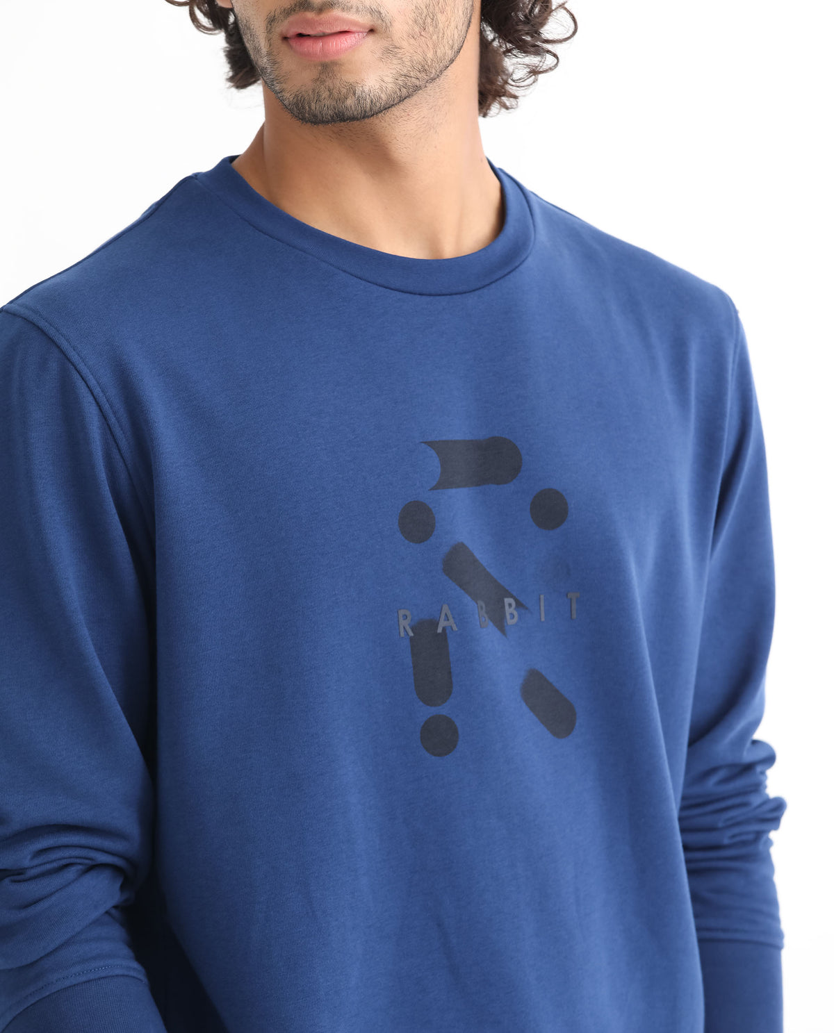 Rare Rabbit Men's Dunsto Blue Cotton Polyester Fabric Full Sleeves Graphic Print Knitted Sweatshirt