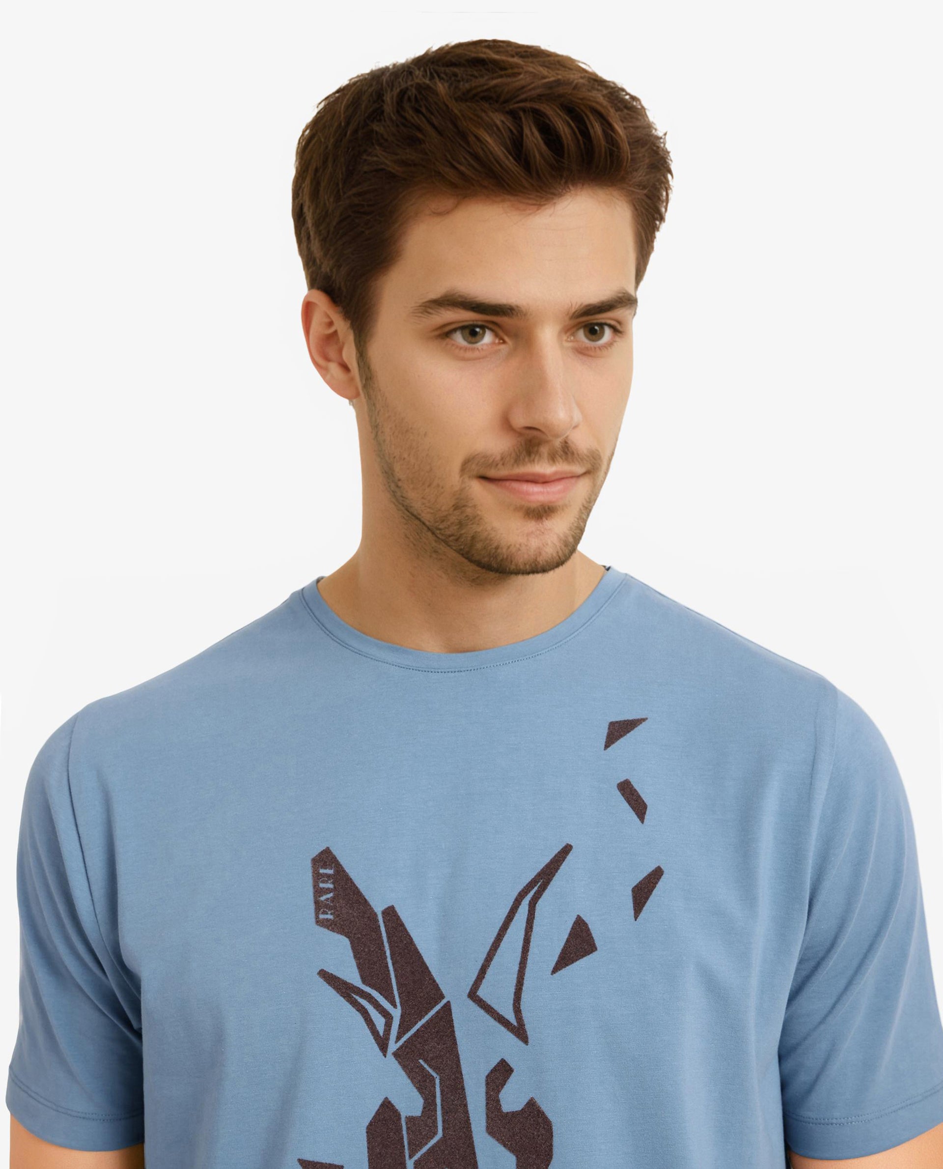 Rare Rabbit Men Esse Blue Cotton Lycra Fabric Short Sleeve Crew Neck Regular Fit Graphic Flock Logo Print T-Shirt