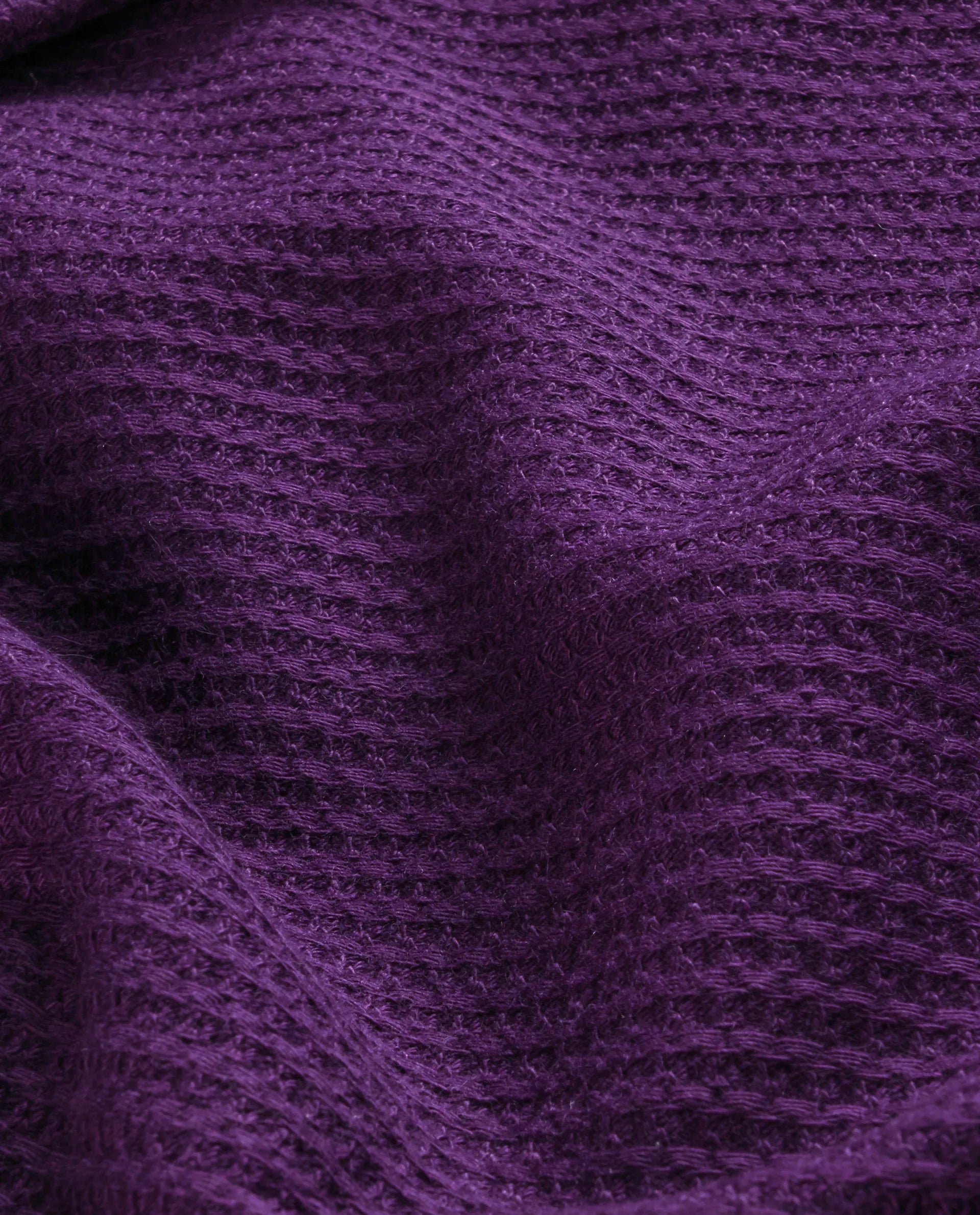 Rare Rabbit Men Site Ss Dark Purple Short Sleeve Collared Neck Button Closure Regular Fit Plain Shirt