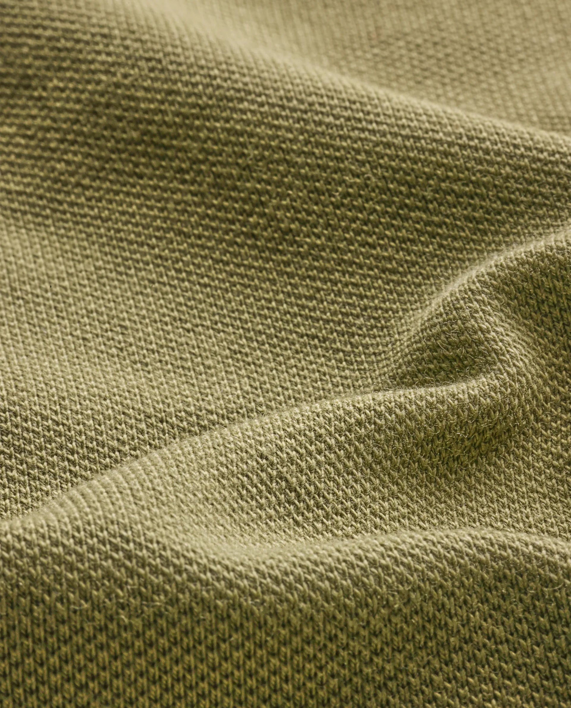 Rare Rabbit Men Daryl Olive Cotton Blend Fabric Short Sleeve Regular Collar Placement Typography Print Polo