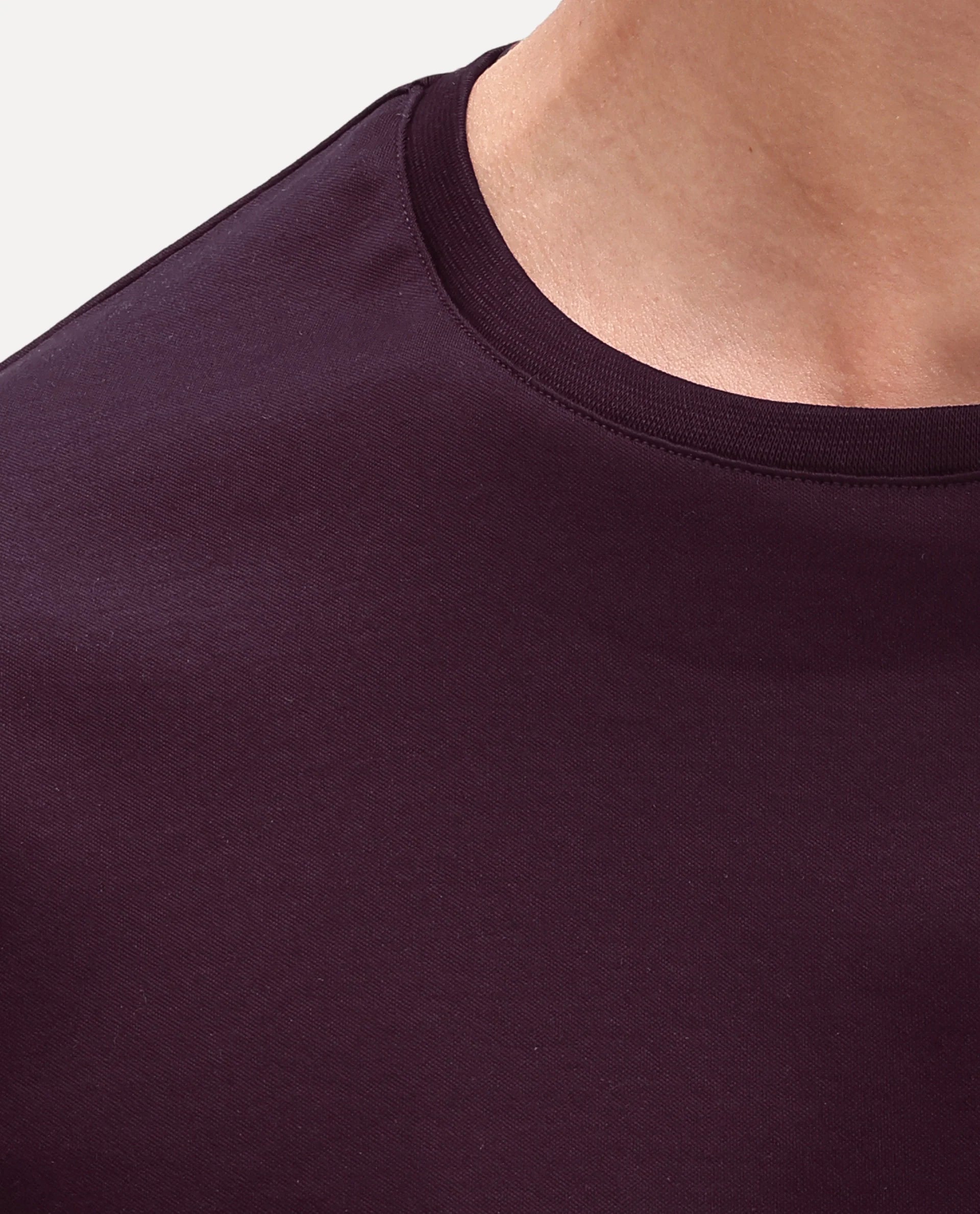 Rare Rabbit Men's Gist Dark Maroon Cotton Crew Neck Regular Plain T-Shirt