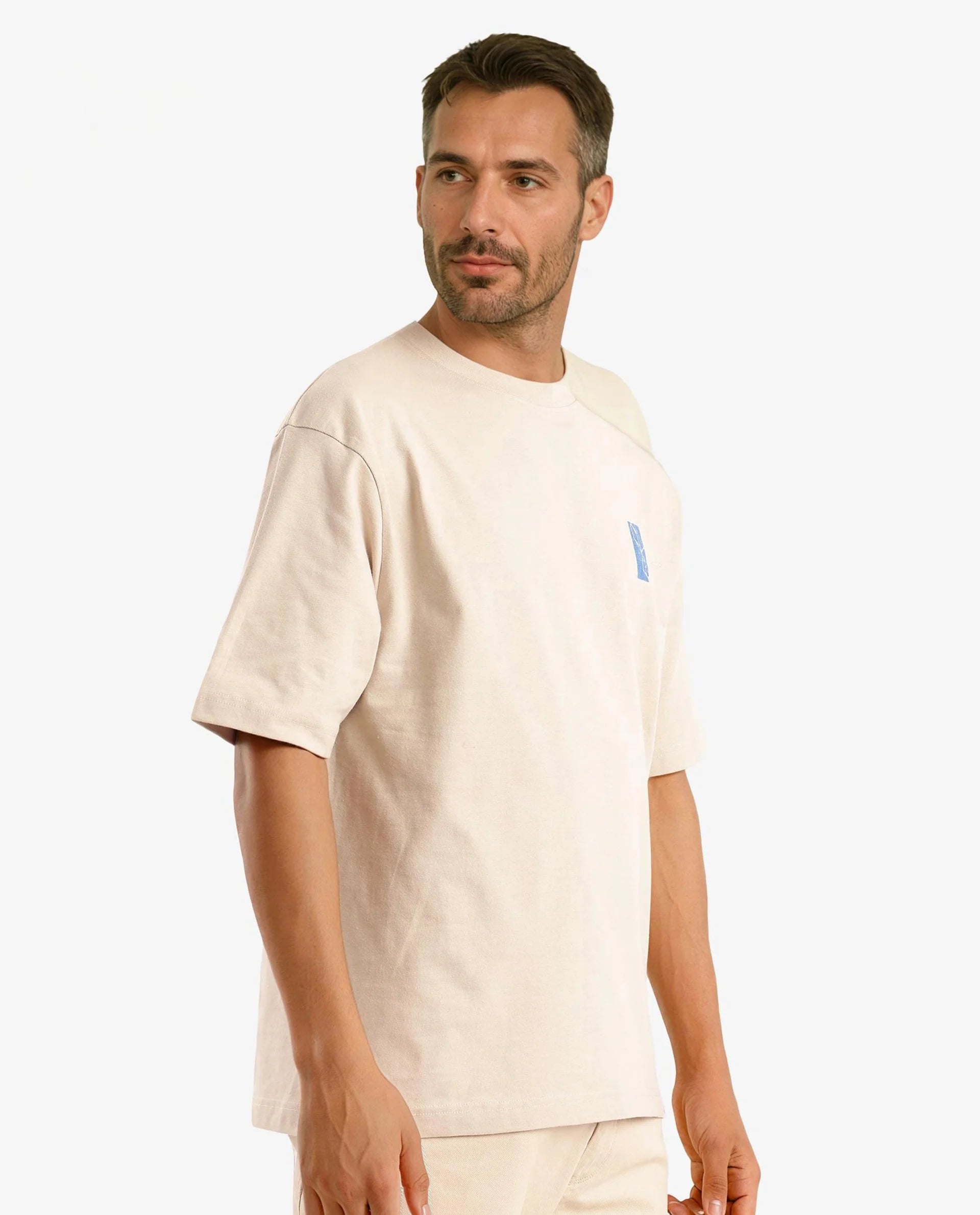 Rare Rabbit Men Hord Beige Short Sleeve Crew Neck Boxy Fit Printed T-Shirt