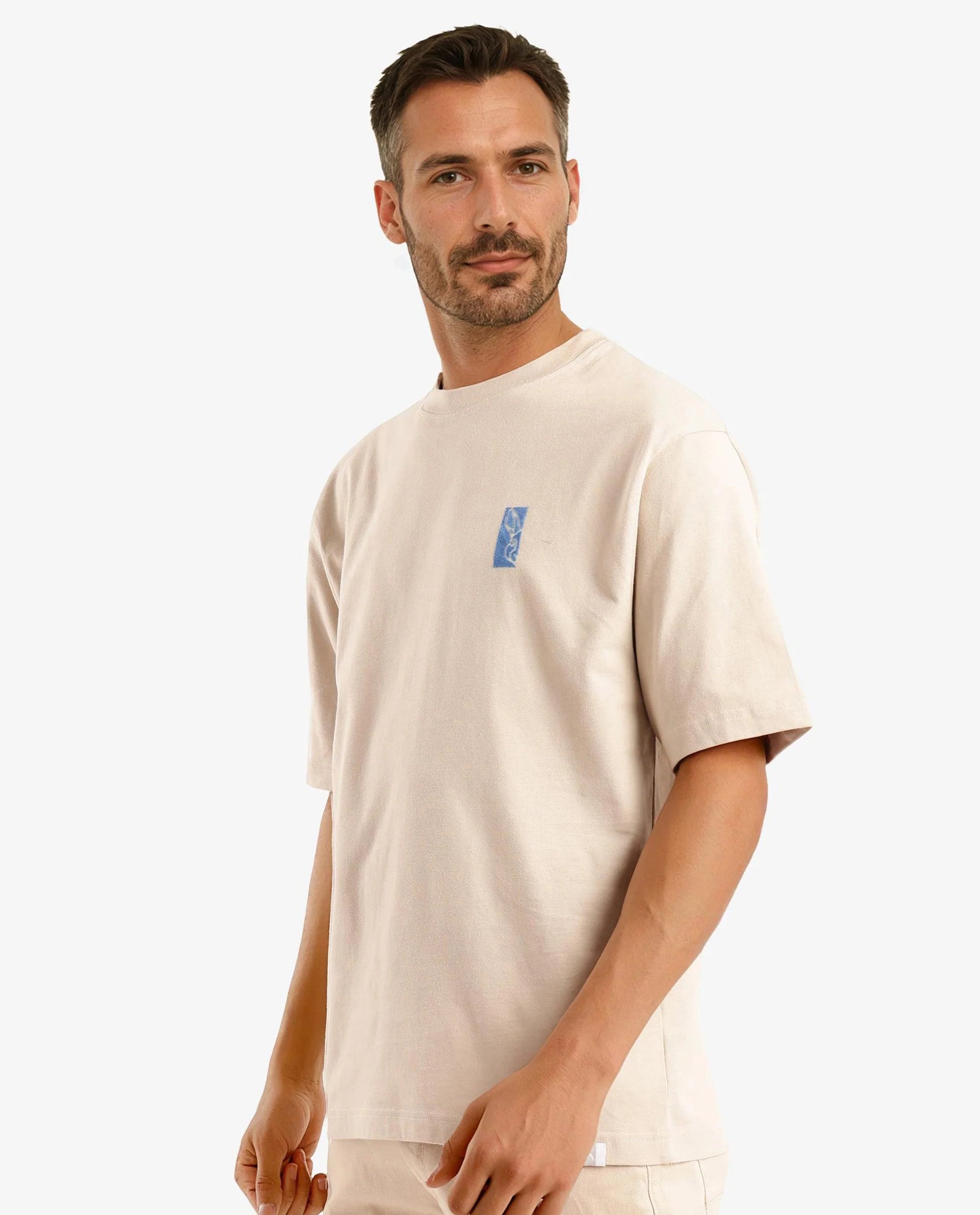 Rare Rabbit Men Hord Beige Short Sleeve Crew Neck Boxy Fit Printed T-Shirt