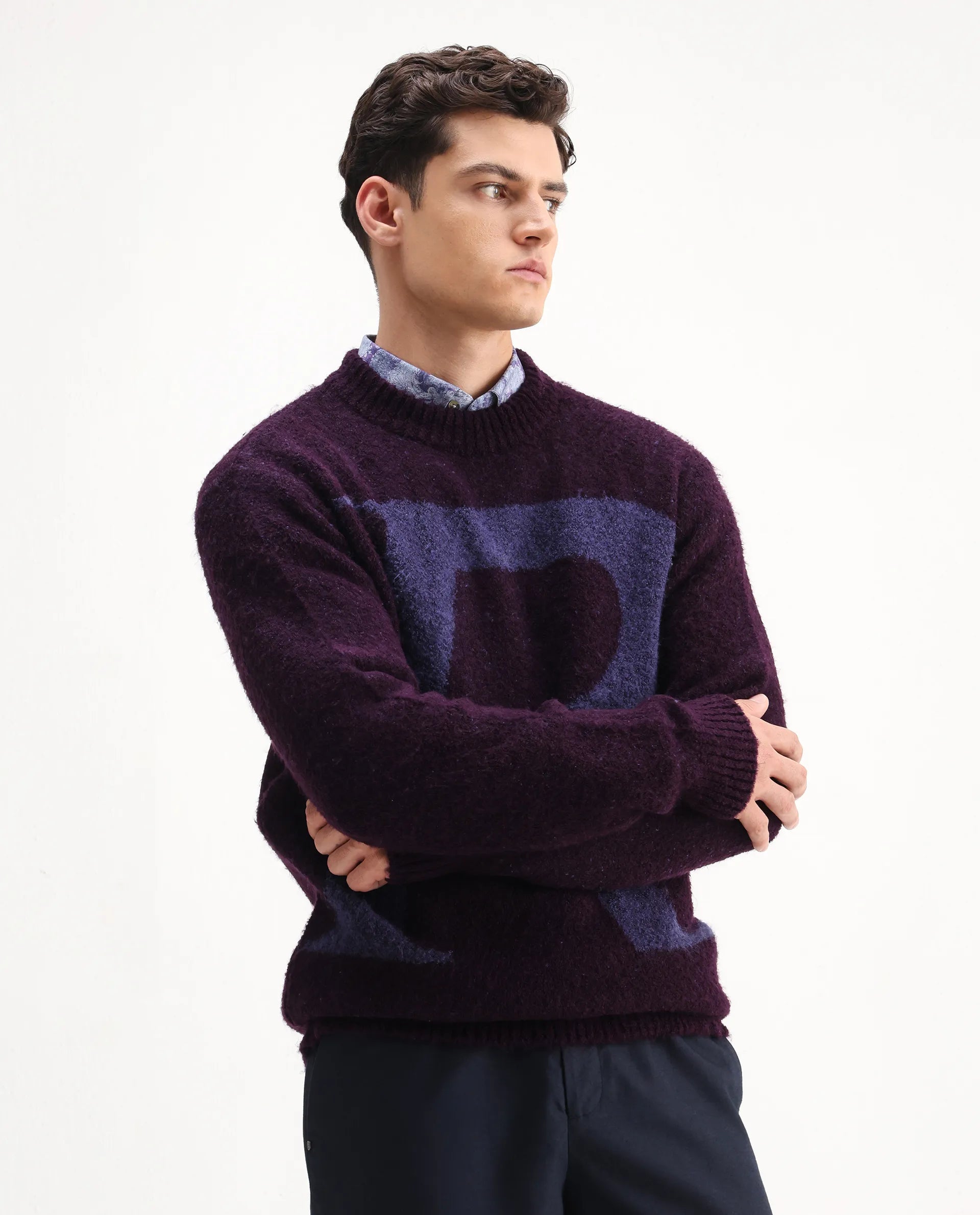 Rare Rabbit Men's Lang Purple Nylon Printed Regular Fit Full Sleeve Crew Neck Sweater