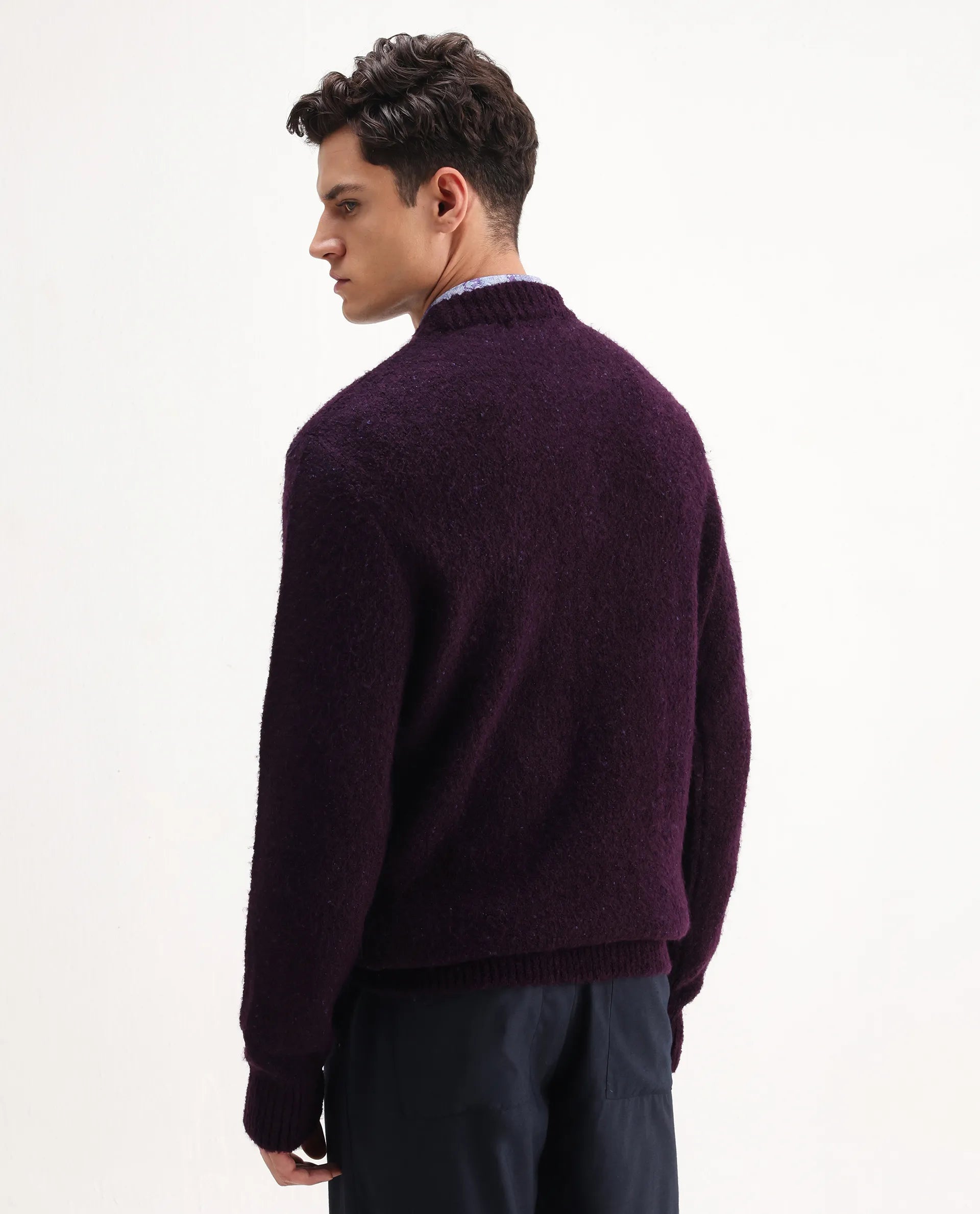 Rare Rabbit Men's Lang Purple Nylon Printed Regular Fit Full Sleeve Crew Neck Sweater