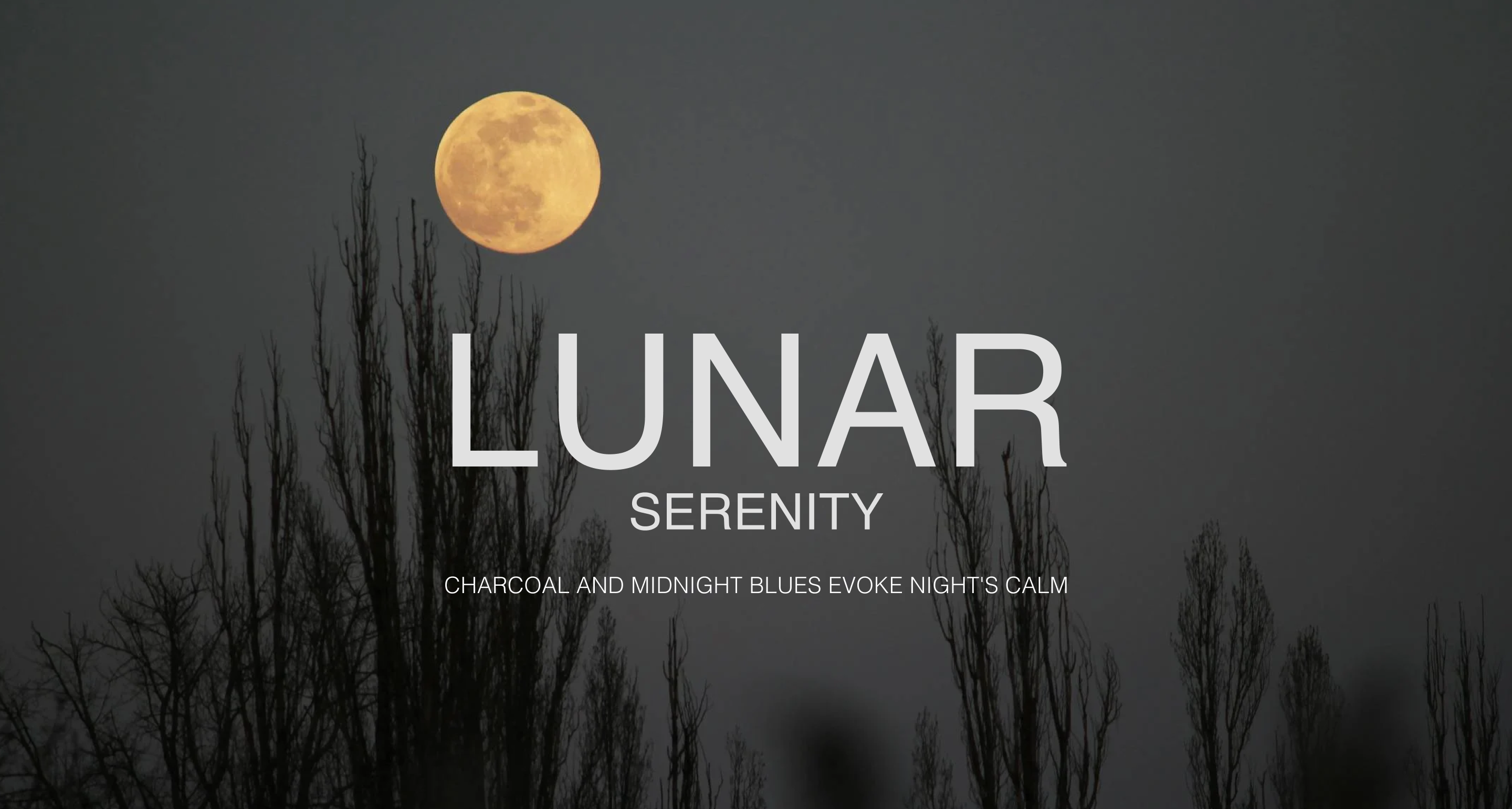 files/lunar_serenity_app_962a1c37-4df4-4764-a56f-f9cab5e1d1b6.png