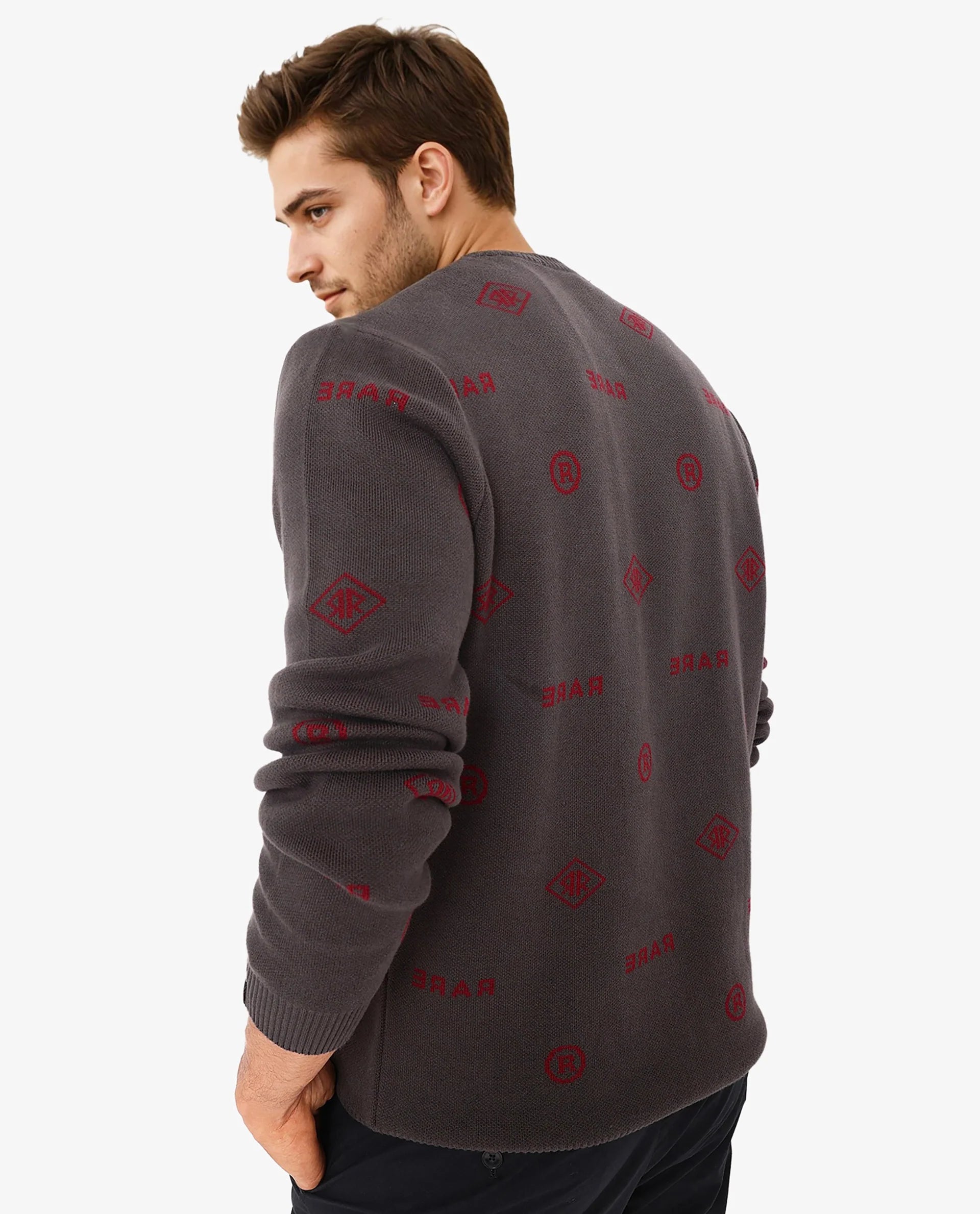 Rare Rabbit Men's Mario Dark Grey Cotton Fabric Cotton Fabric Full Sleeve Crew Neck Regular Fit Monogram Back Print Jacquard Textured Sweater