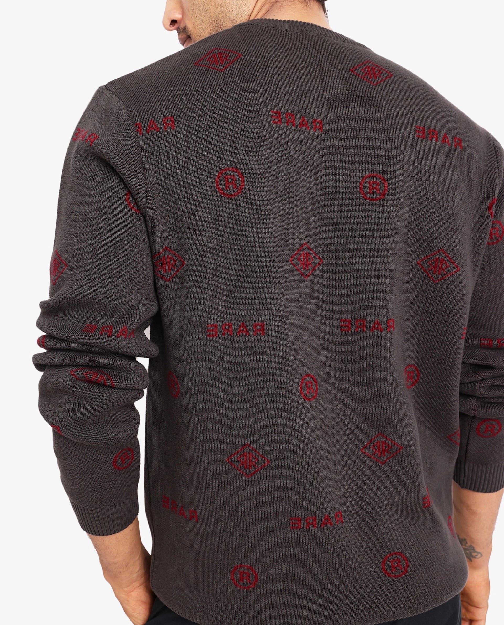 Rare Rabbit Men's Mario Dark Grey Cotton Fabric Cotton Fabric Full Sleeve Crew Neck Regular Fit Monogram Back Print Jacquard Textured Sweater