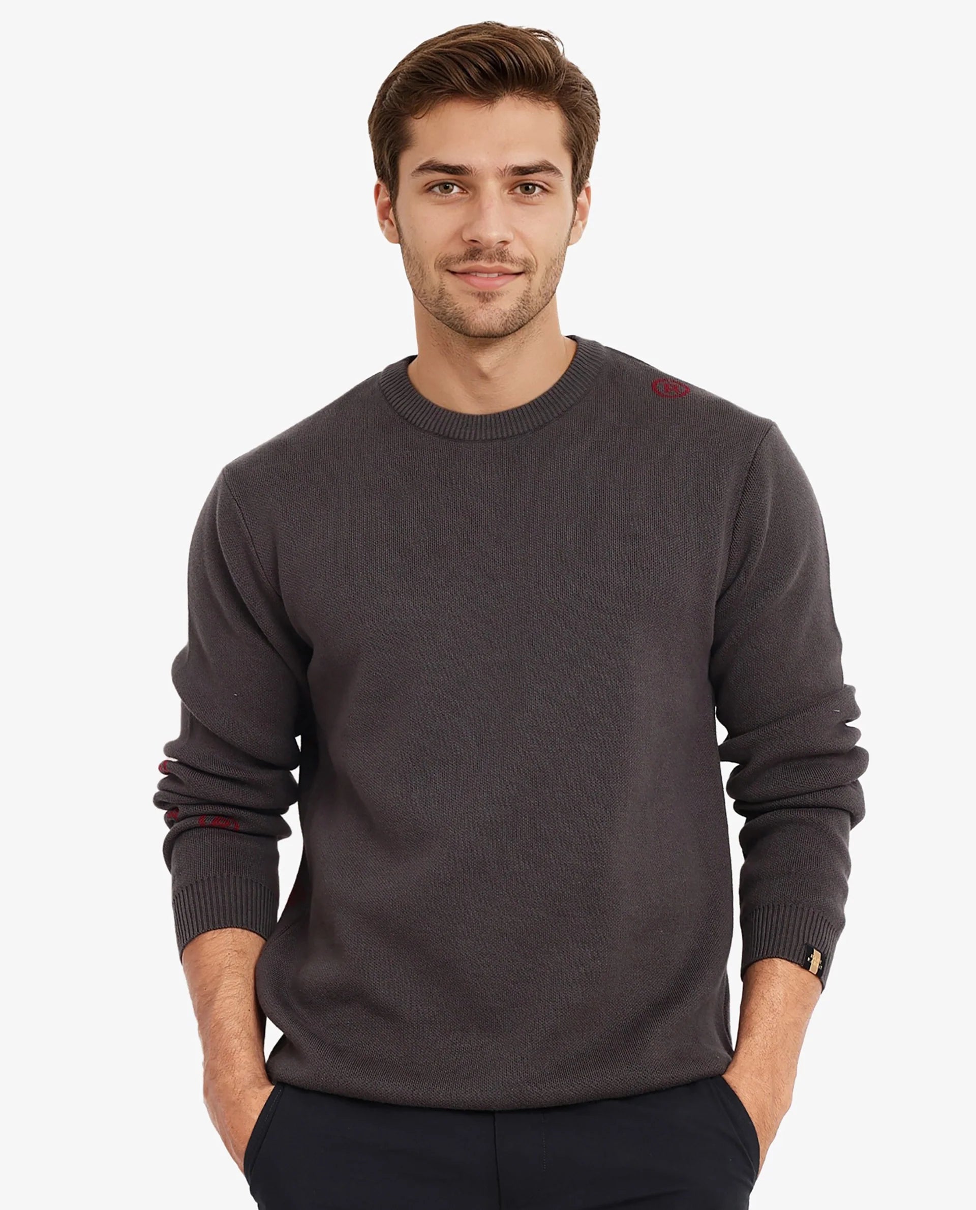 Rare Rabbit Men's Mario Dark Grey Cotton Fabric Cotton Fabric Full Sleeve Crew Neck Regular Fit Monogram Back Print Jacquard Textured Sweater