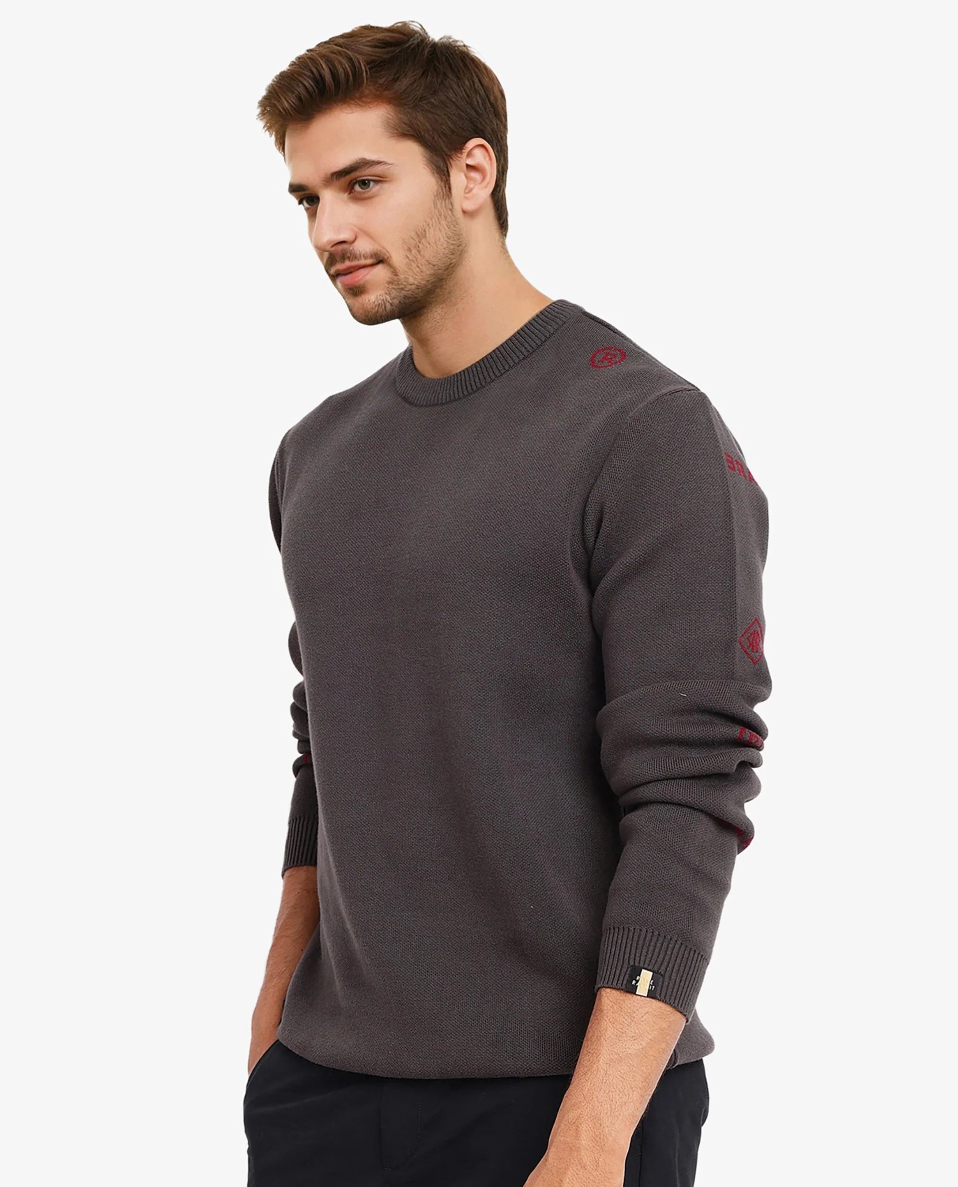 Rare Rabbit Men's Mario Dark Grey Cotton Fabric Cotton Fabric Full Sleeve Crew Neck Regular Fit Monogram Back Print Jacquard Textured Sweater