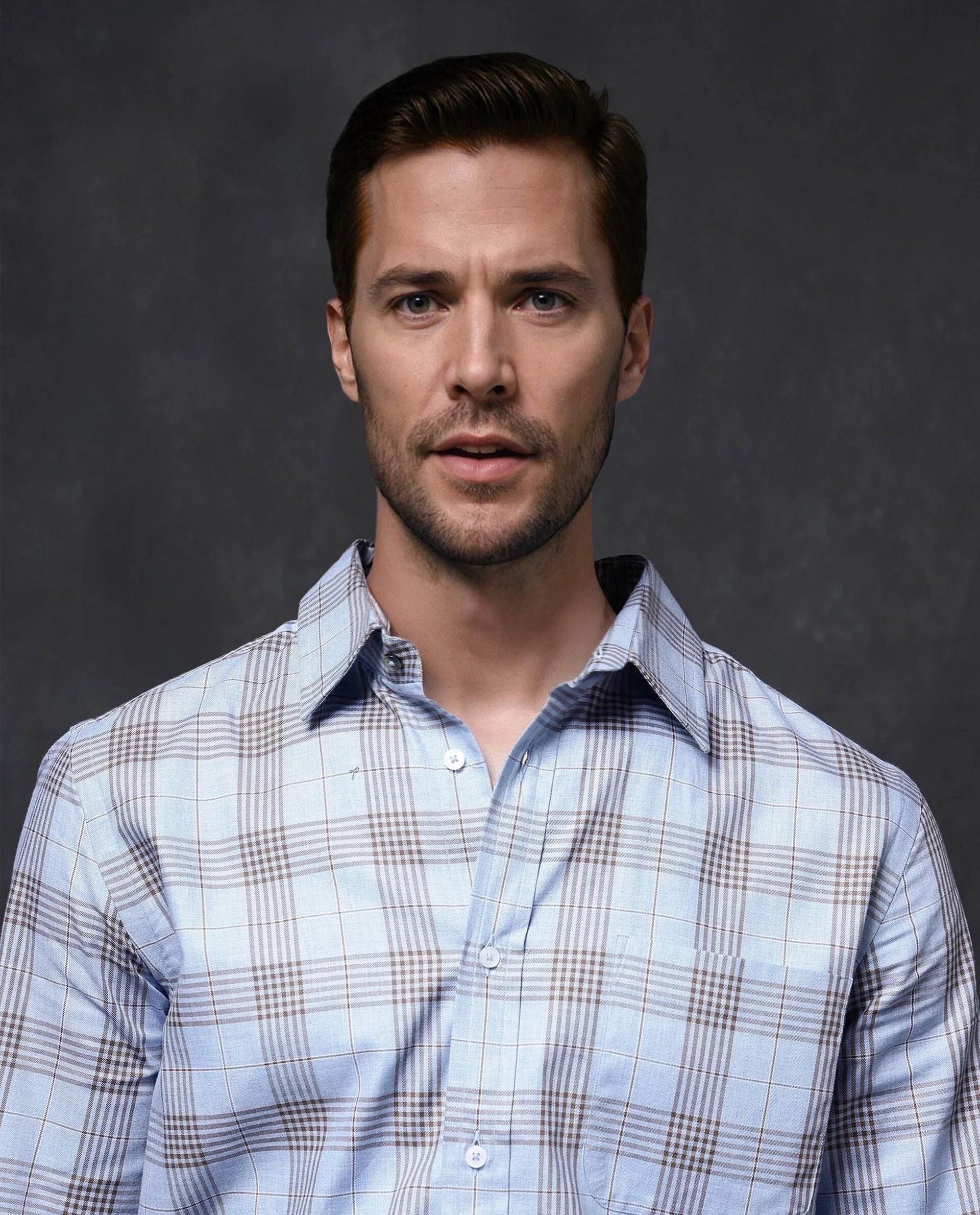 Rare Rabbit Men Mead Blue Full Sleeve Collared Neck Button Closure Regular Fit Checks Shirt