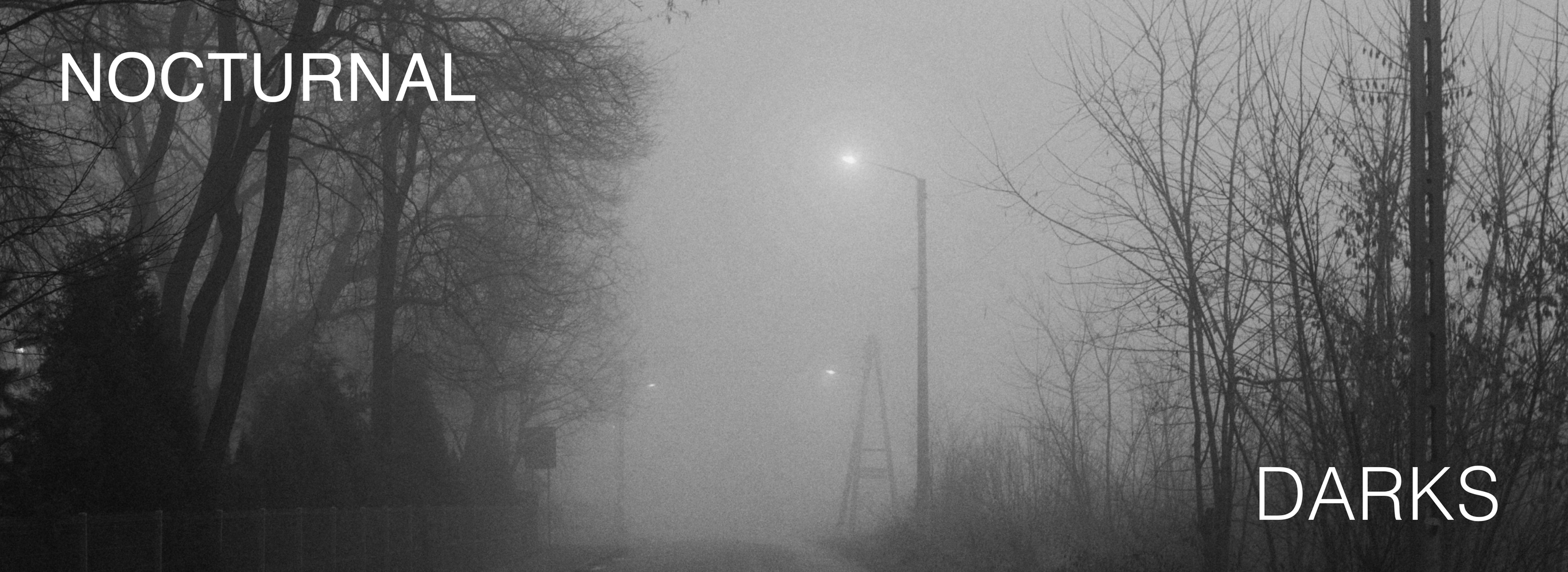 Nocturnal Darks: Bold & Mysterious Fashion