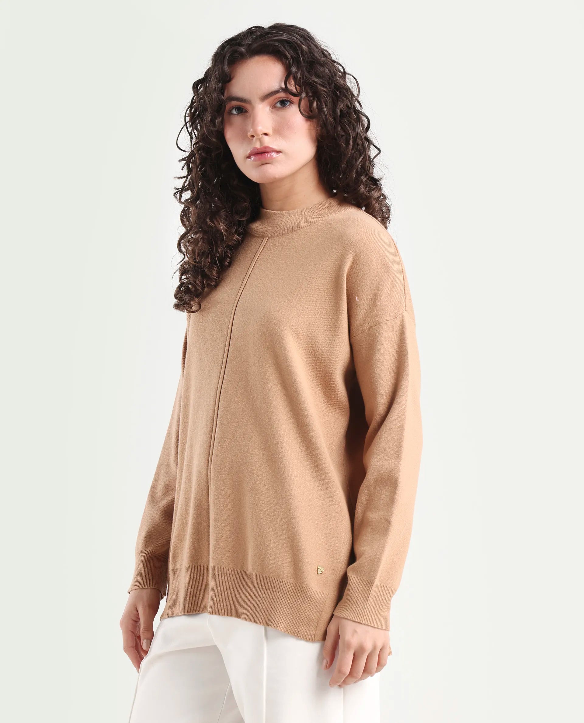 Rareism Women's Omerli T Light Beige Viscose High Neck Plain Oversized Sweater