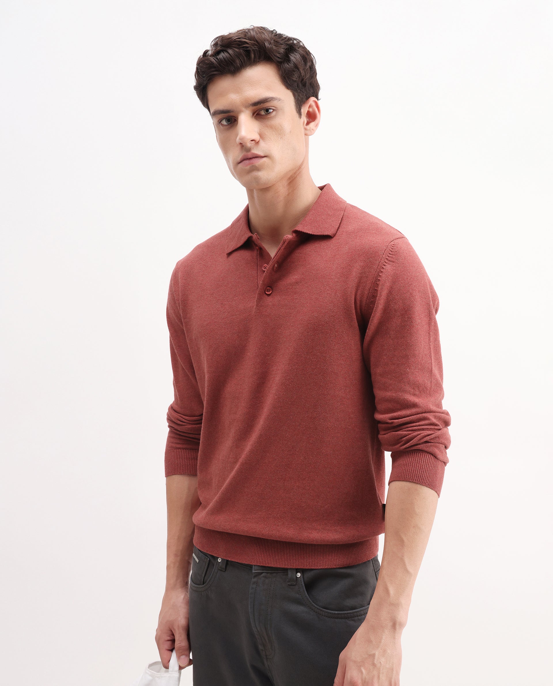 Rare Rabbit Men's Pyer Red Flat Knit Plain Regular Fit Full Sleeve Polo