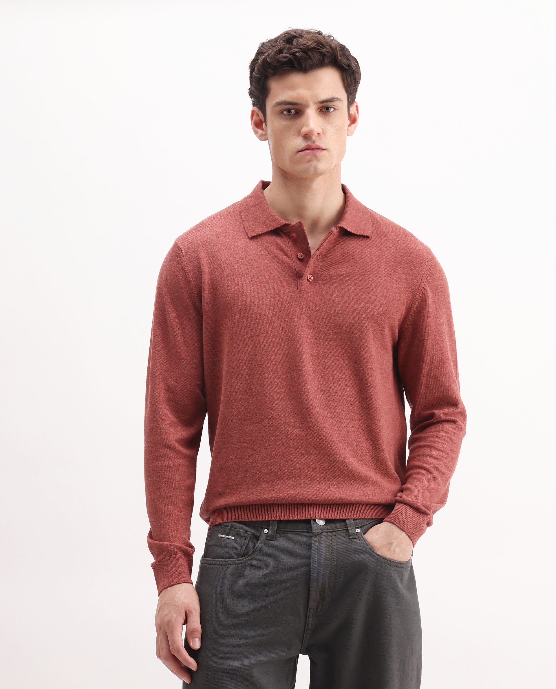 Rare Rabbit Men's Pyer Red Flat Knit Plain Regular Fit Full Sleeve Polo