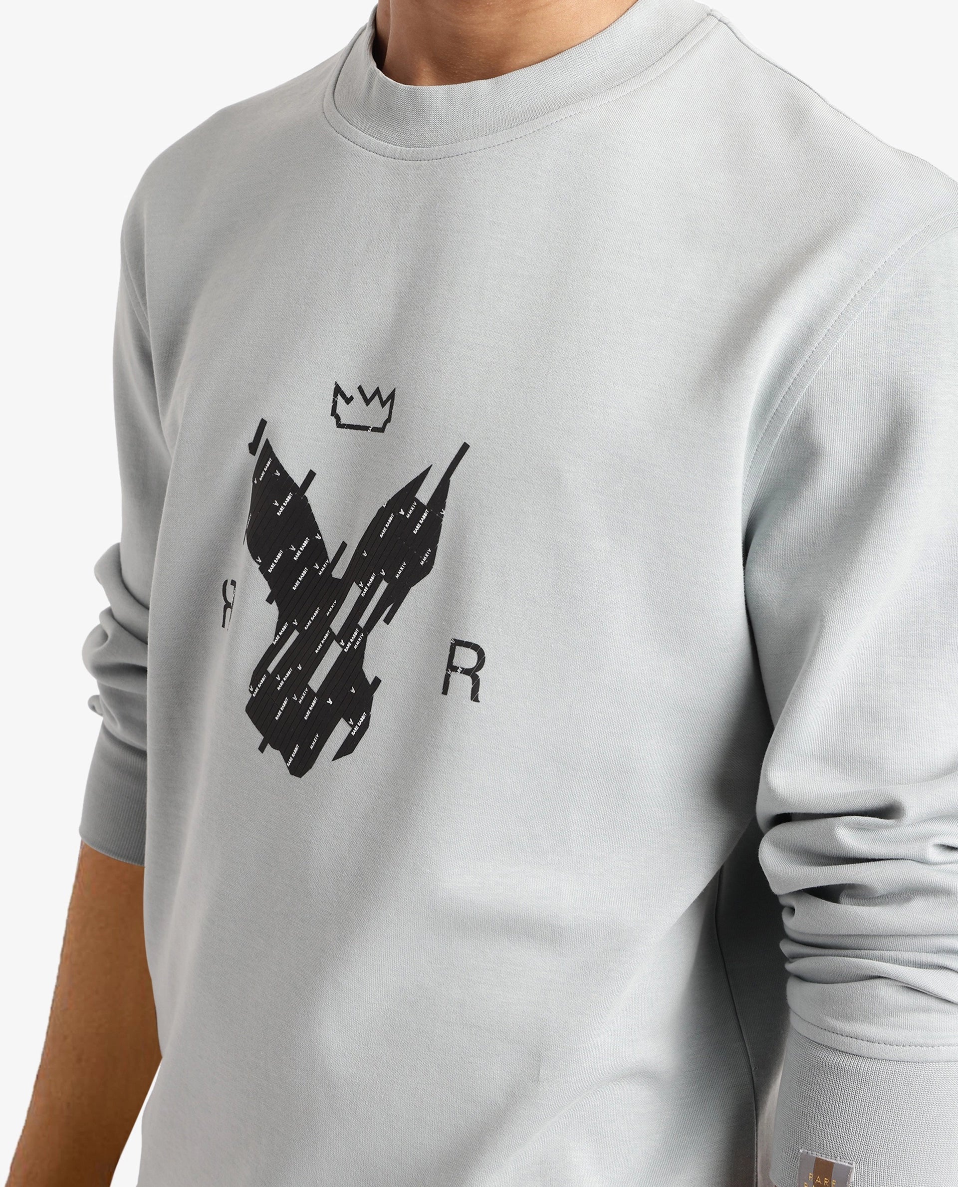 Rare Rabbit Men Ref Light Grey Cotton Full Sleeve Crew Neck Regular Fit HD Print Logo Sweatshirt