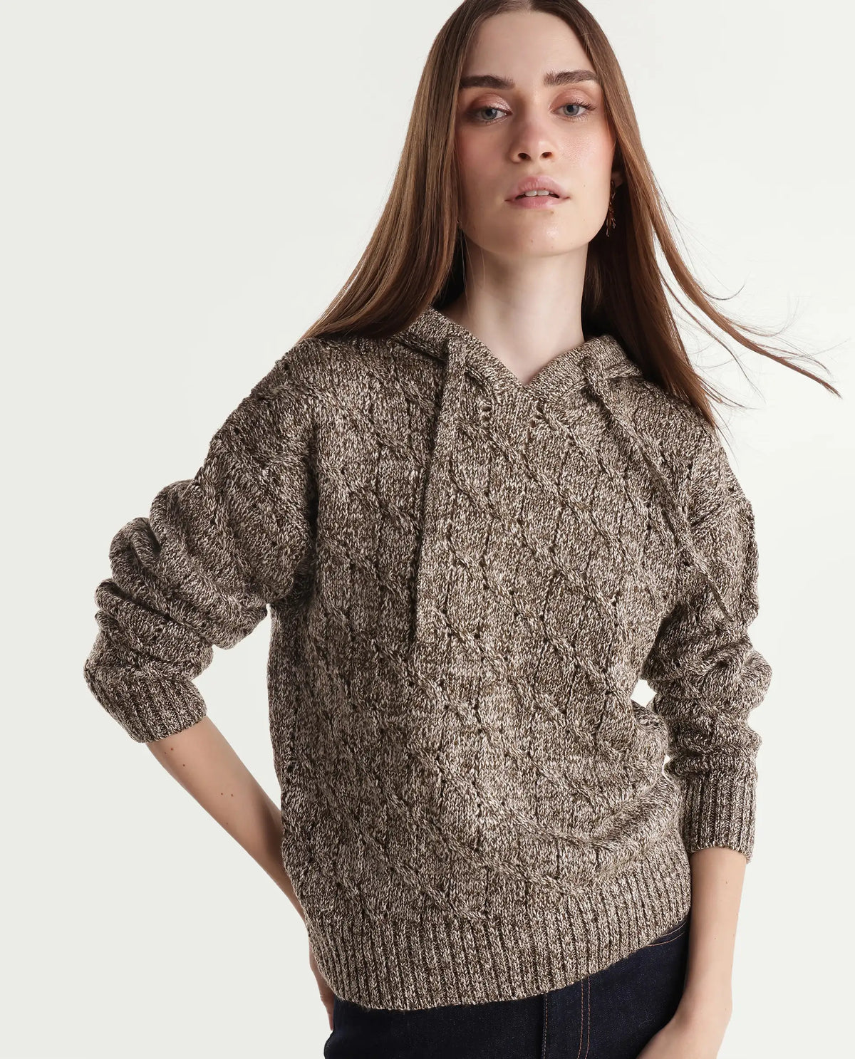 Rareism Women's Lisha Dark Brown Acrylic Blend Hooded Relaxed Plain Sweater