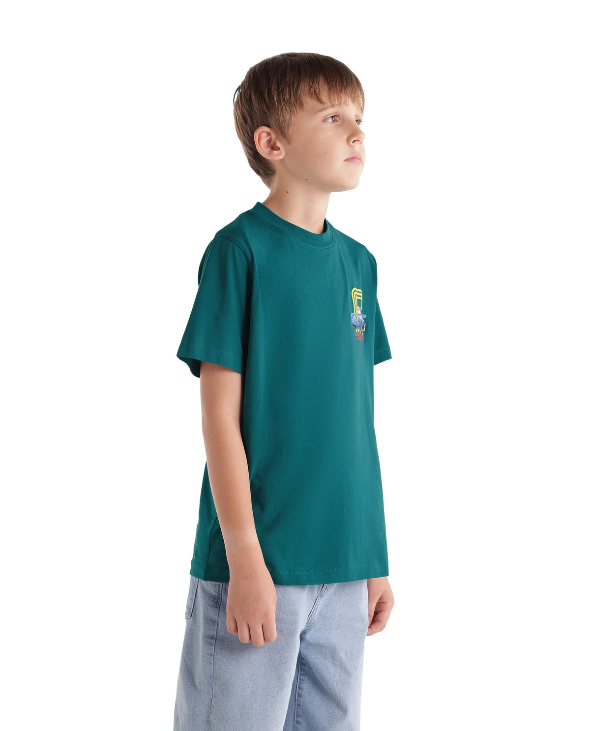 Rare Ones Kids Caroz Dark Teal Cotton Blend Fabric Pull-On Regular Fit Graphic Print T-Shirt